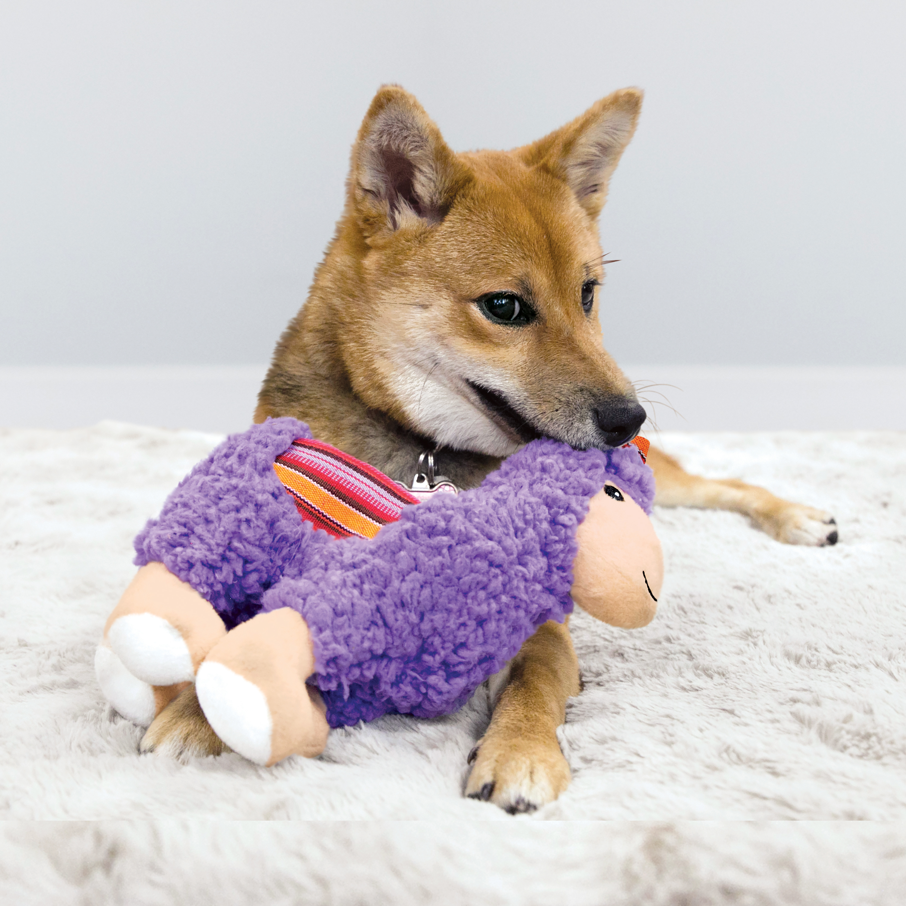 Sherps Donkey lifestyle product image