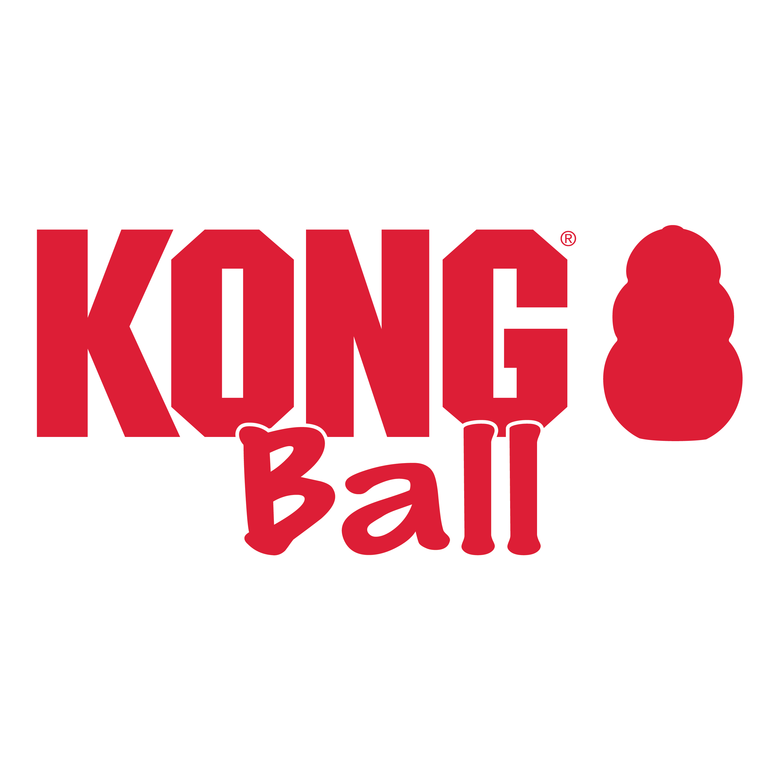KONG Ball w/Hole alt1 termékkép