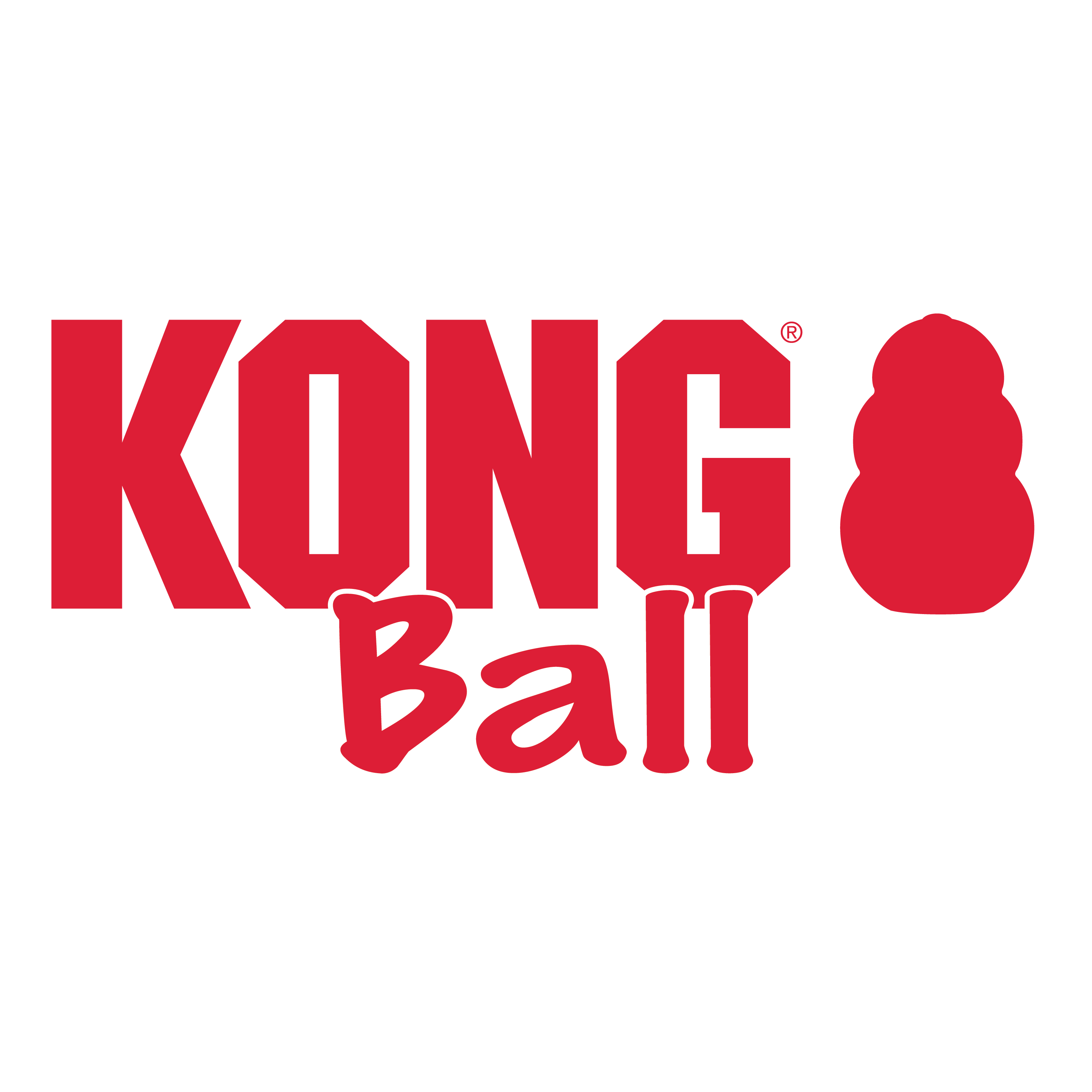 KONG bal met gat alt1 productafbeelding