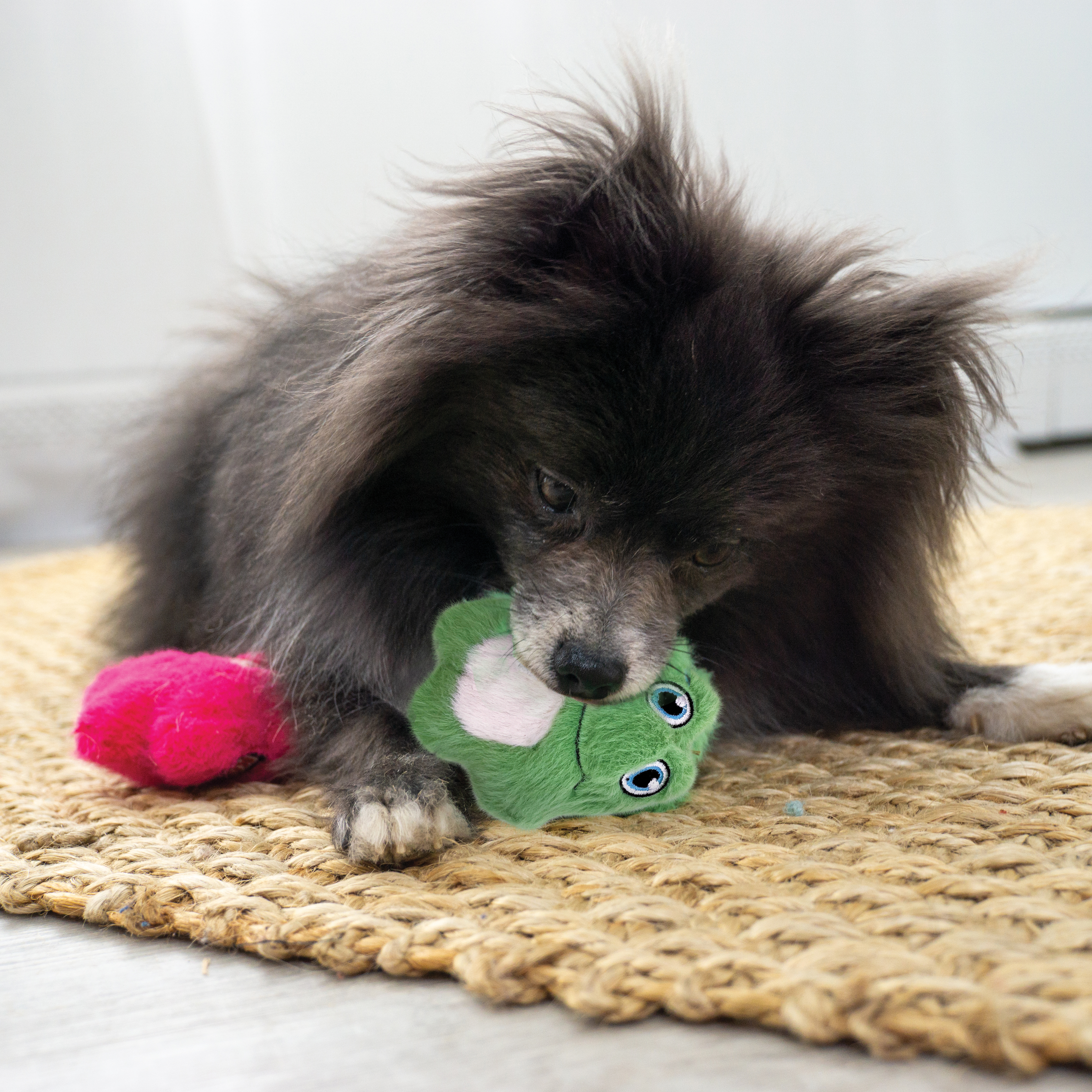 Snuzzles Mini Frog lifestyle product image