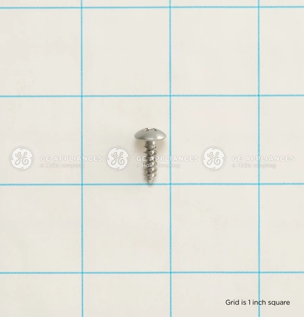 Special Screw