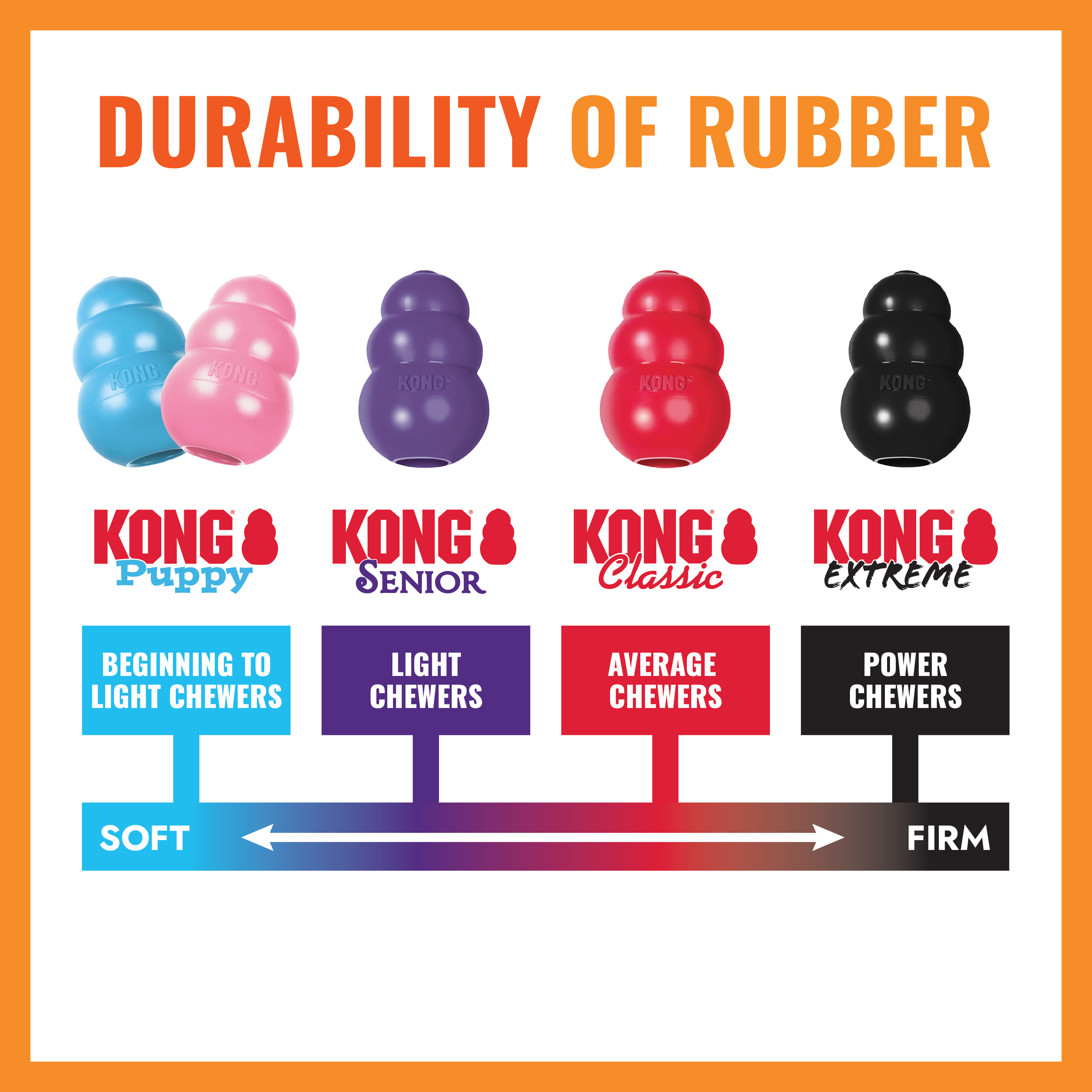 KONG Aqua educational4 product image