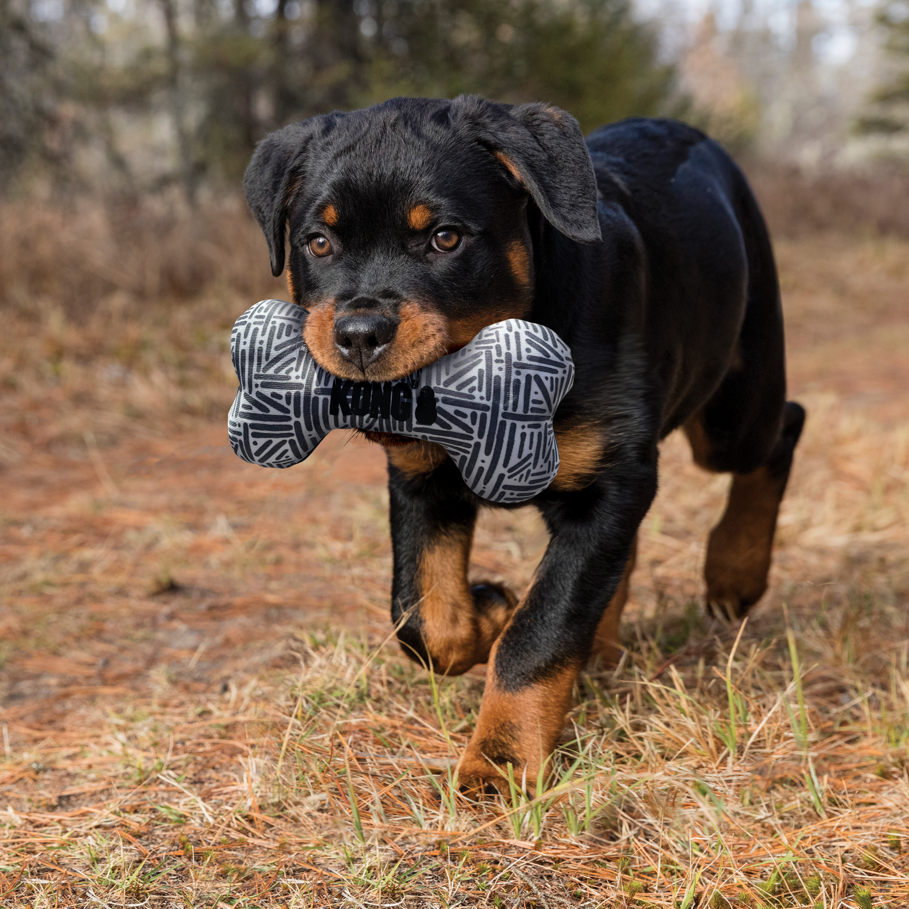 KONG Maxx Bone Dog Toy KONG Maxx Bone Dog Toy
