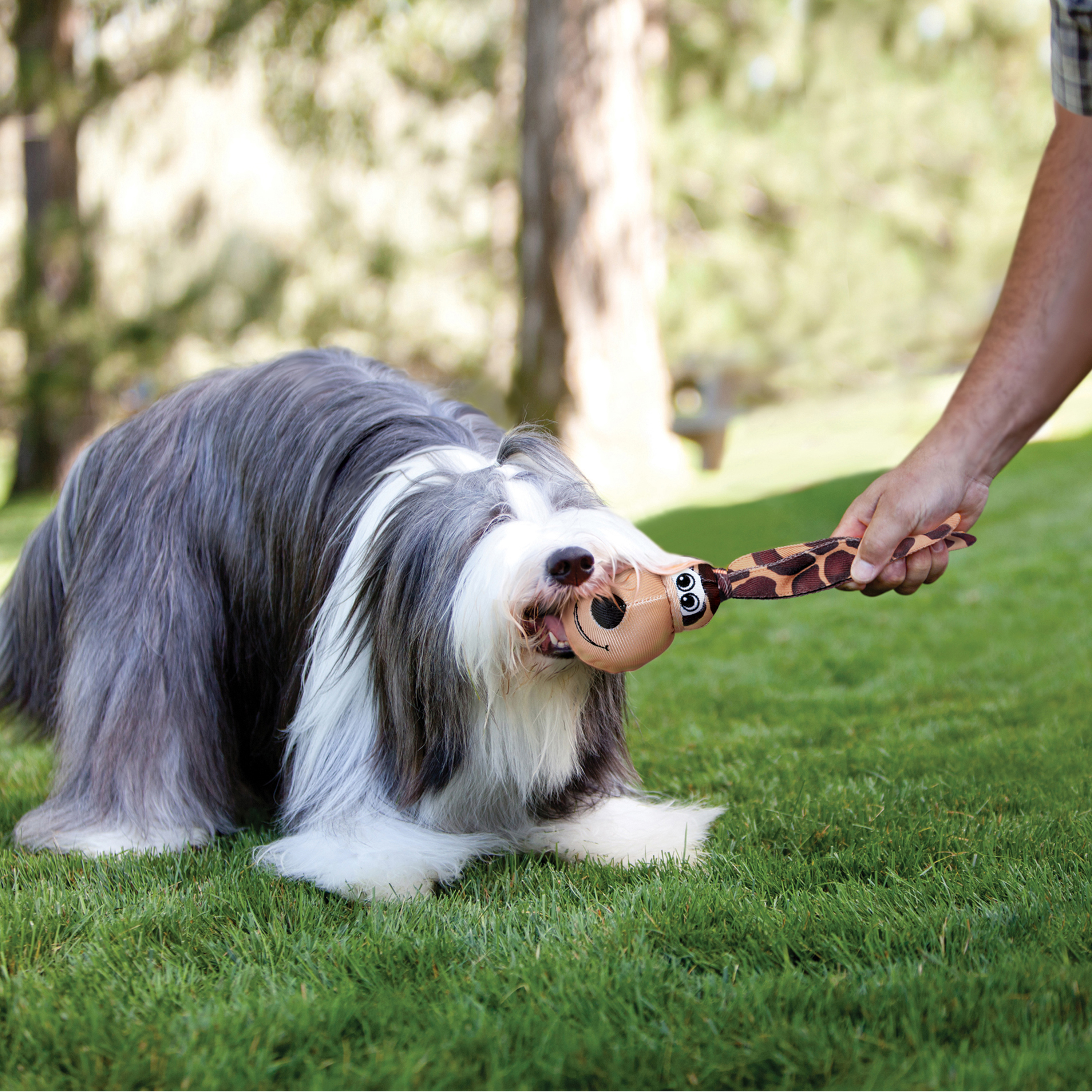 Immagine del prodotto Wubba Floppy Ears Assorted lifestyle