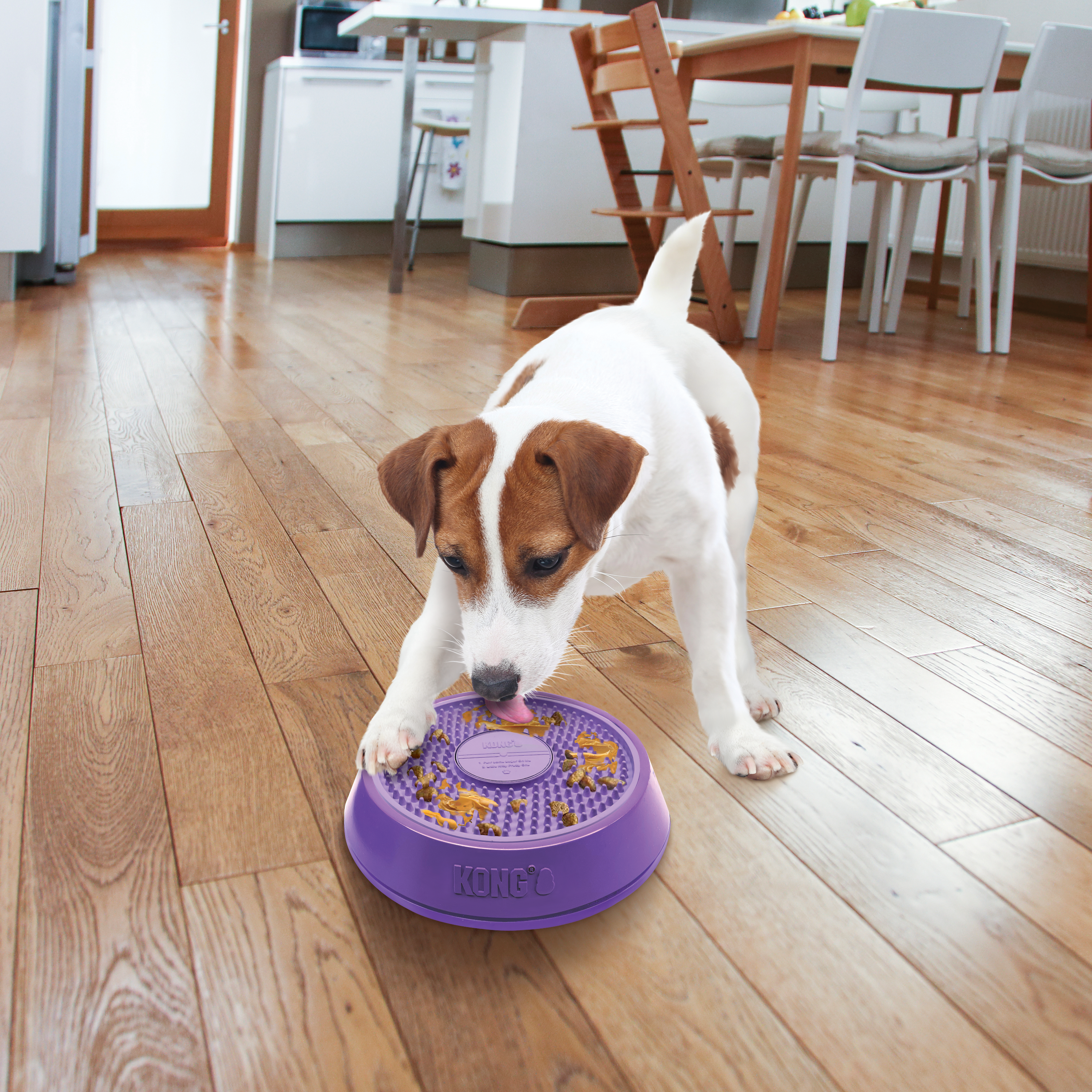 Kong dog outlet feeder