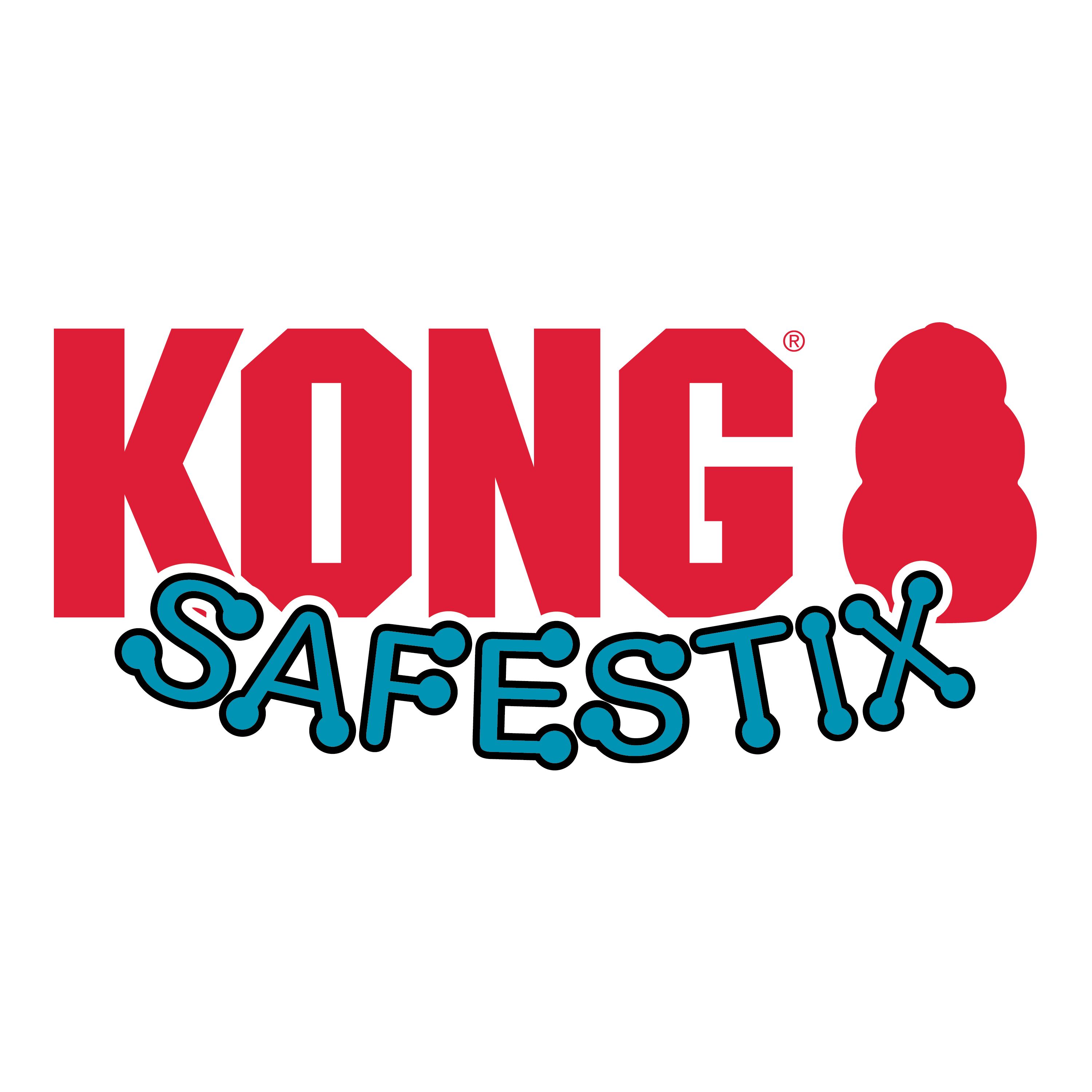 Kong safestix 2025