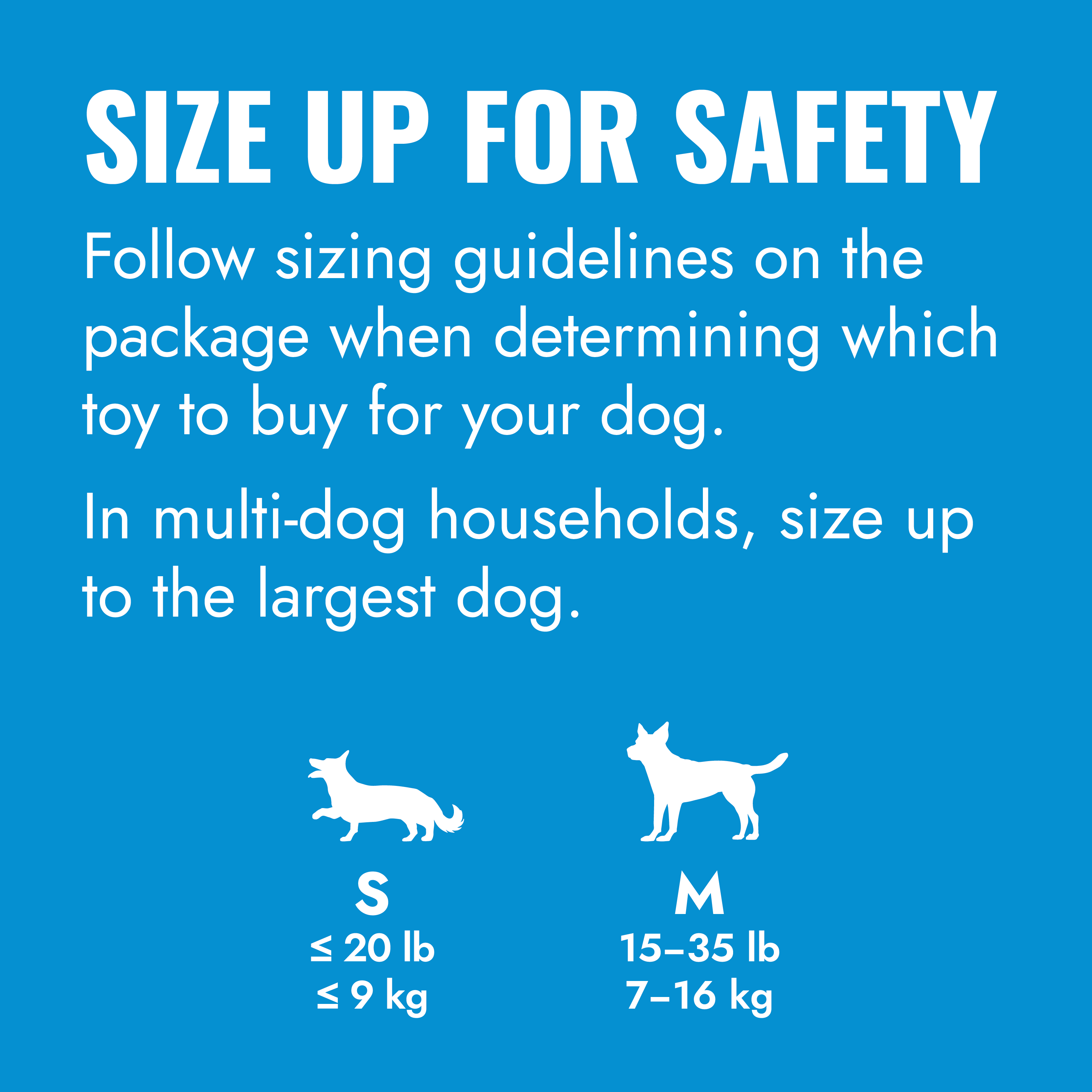 KONG Binkie Blue educational1 product image