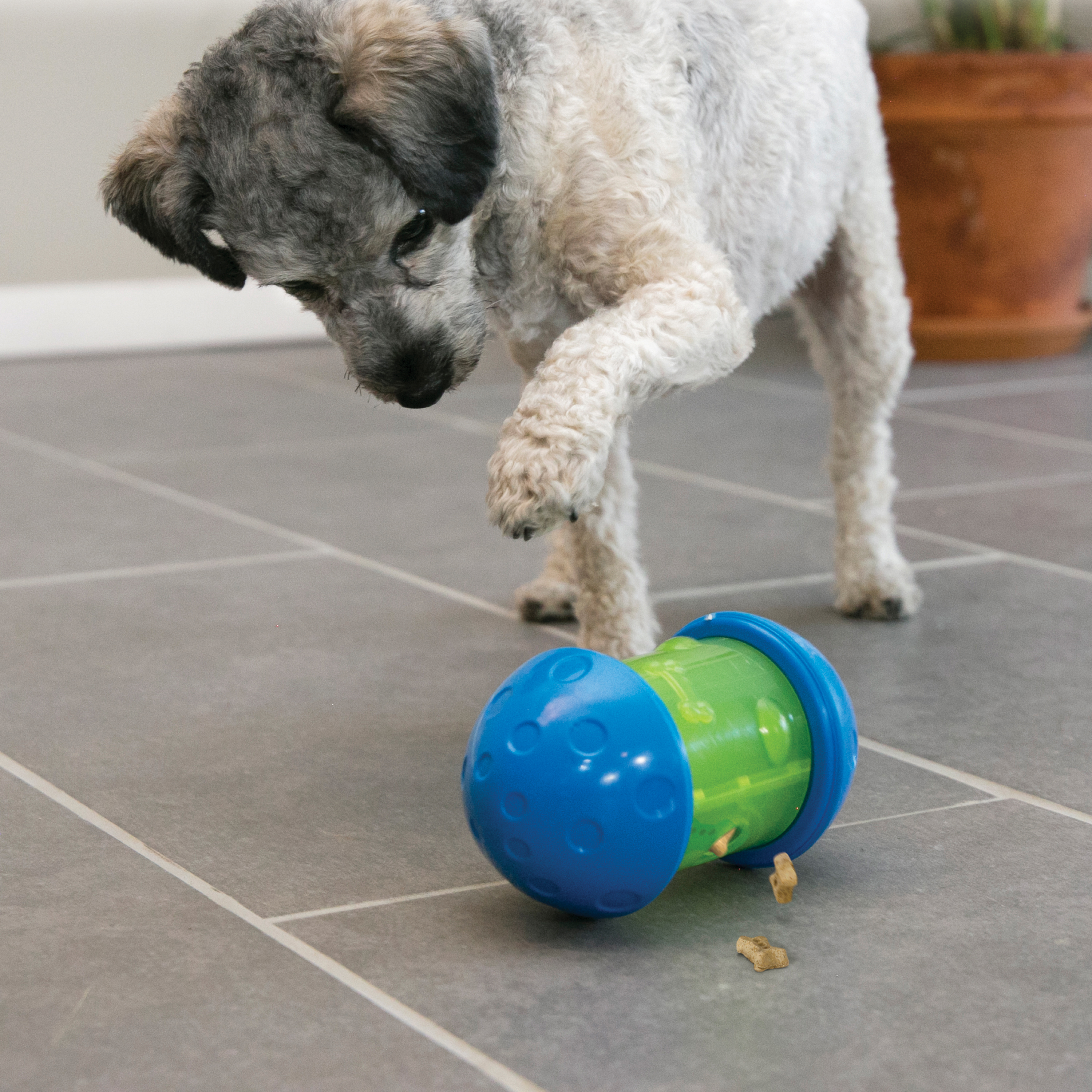 KONG Bambo Feeder Ball Treat Dispensing Dog Toy