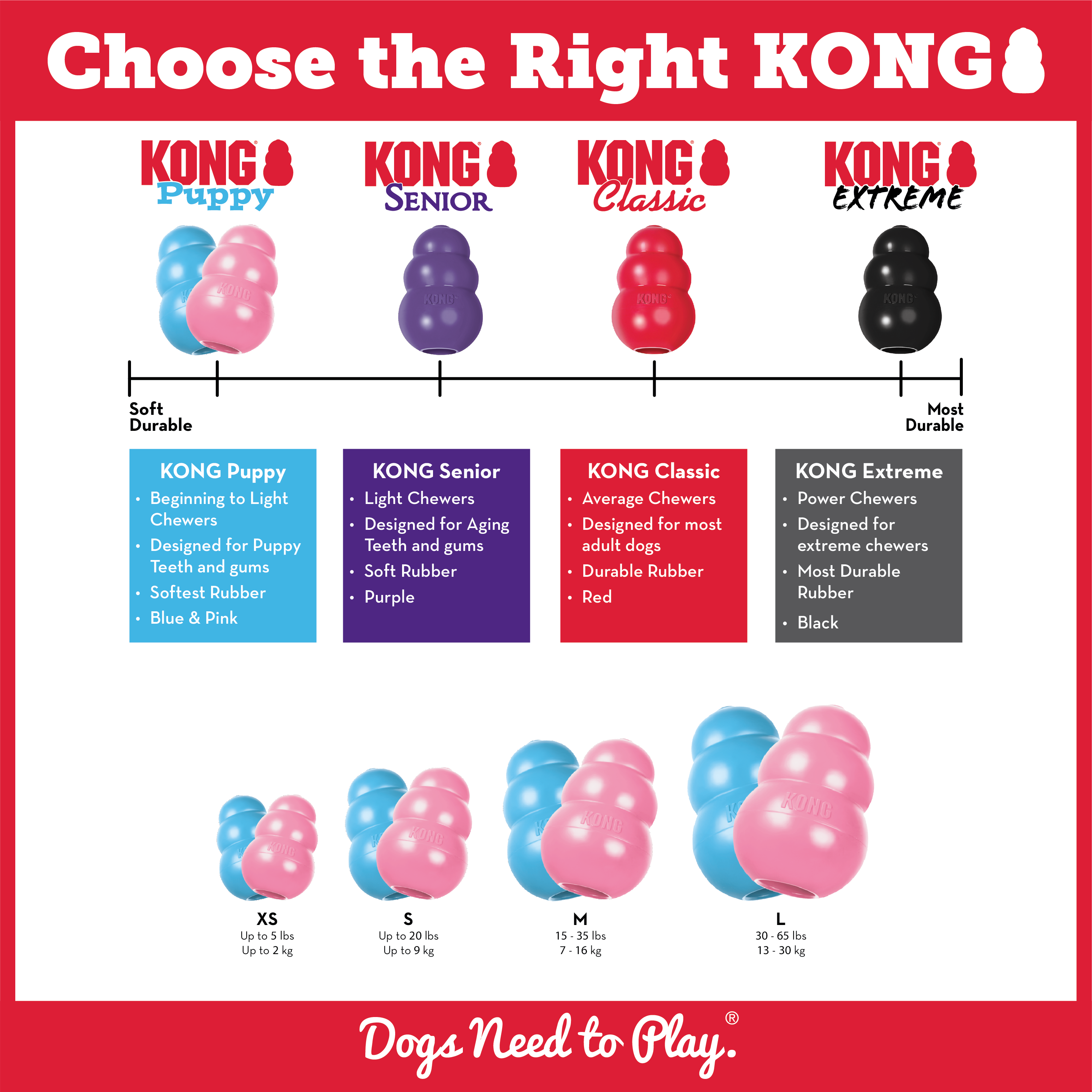 KONG Puppy educational1 product image