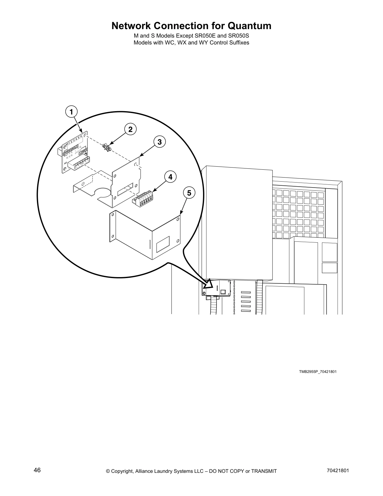 Network Connection for Quantum