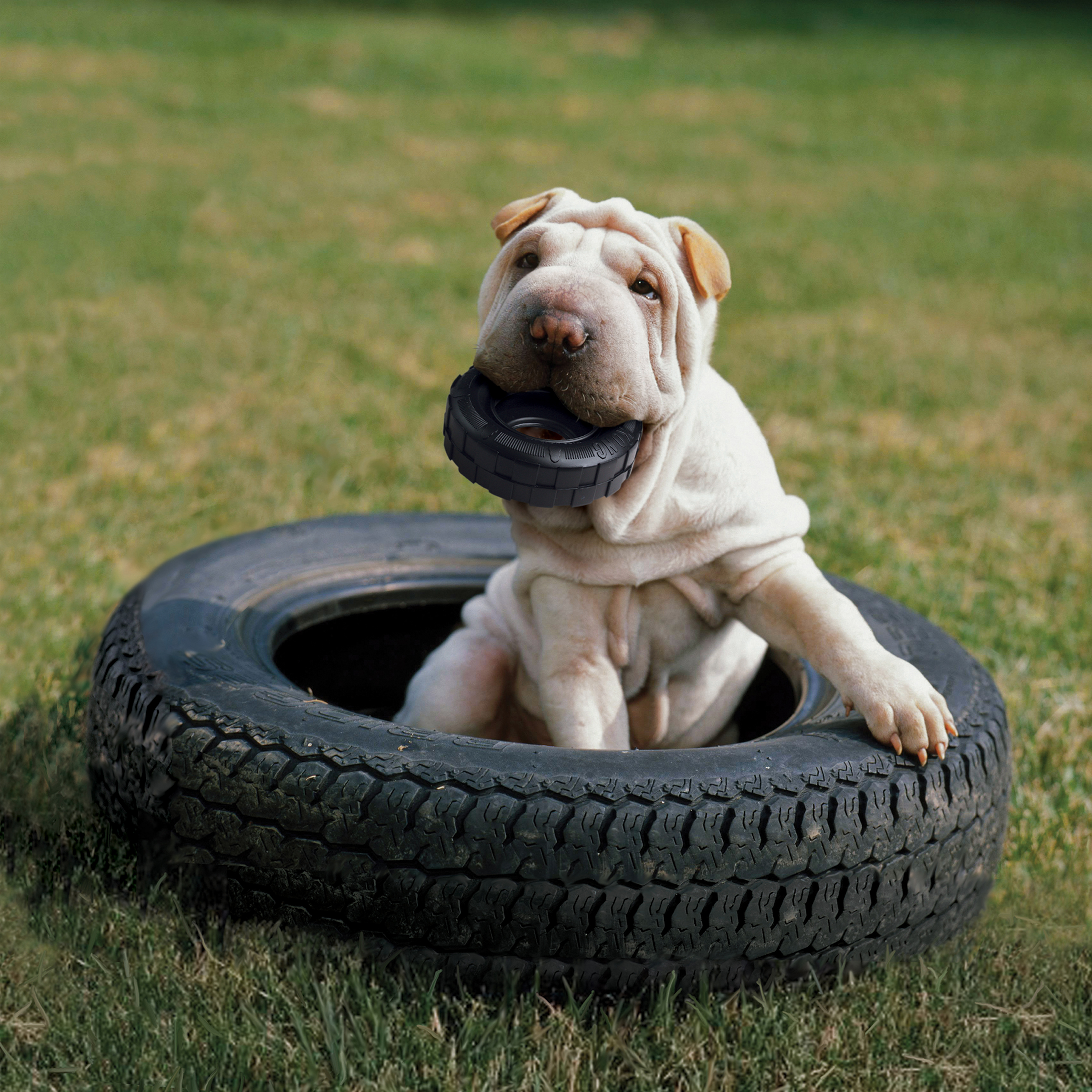 Tire store chew toy