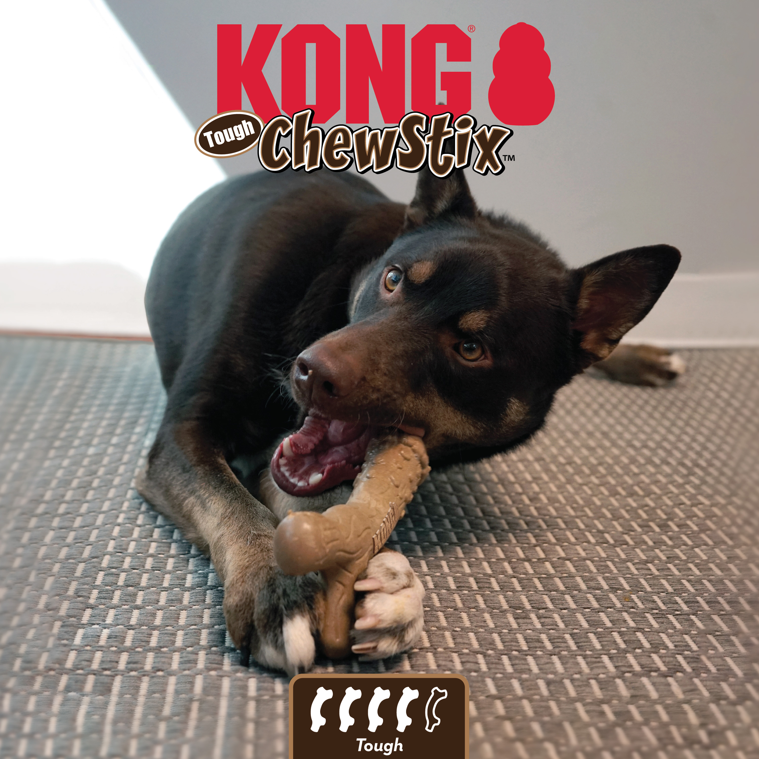 Kong shop dog chews