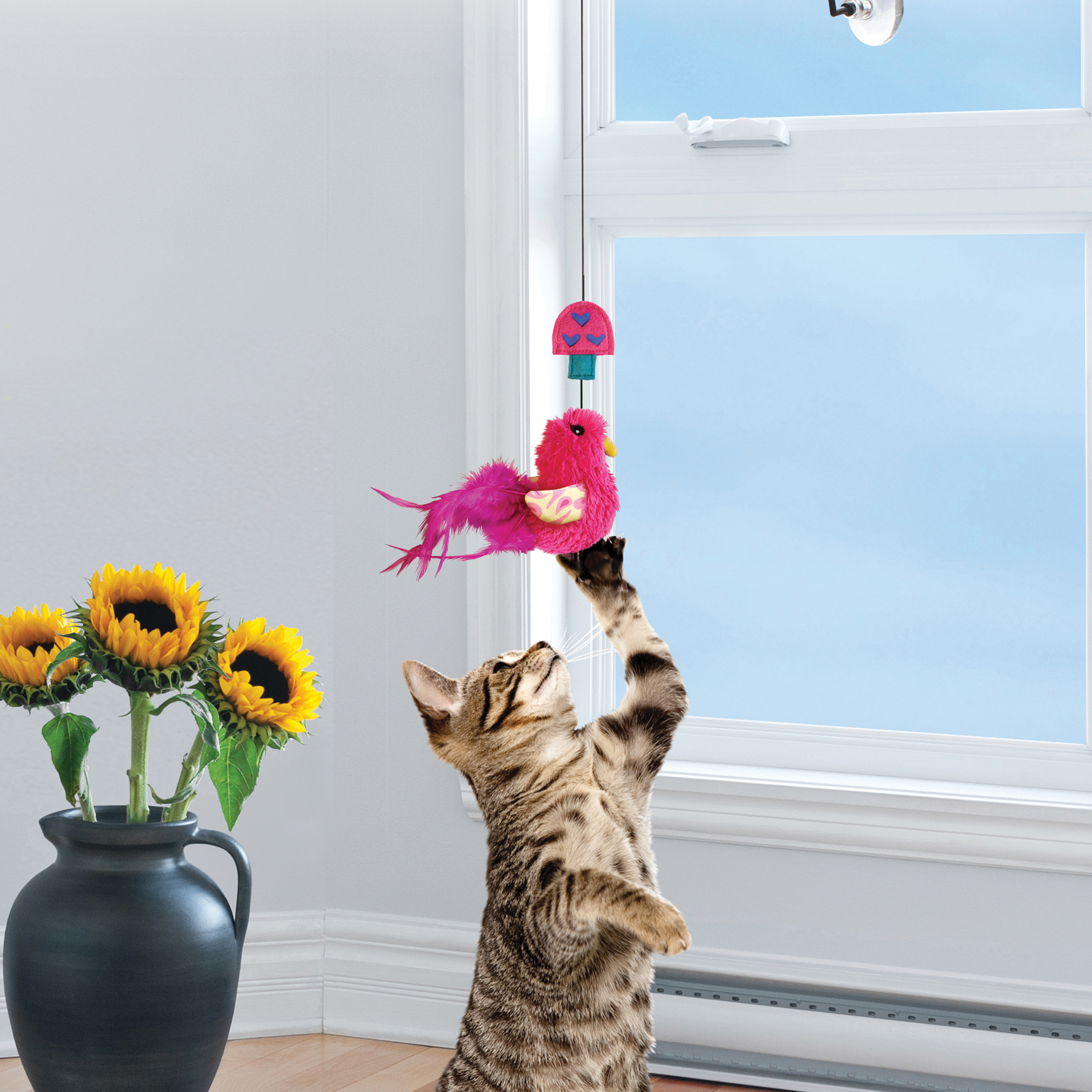  KONG Curlz Teaser Cat Toy : Pet Supplies