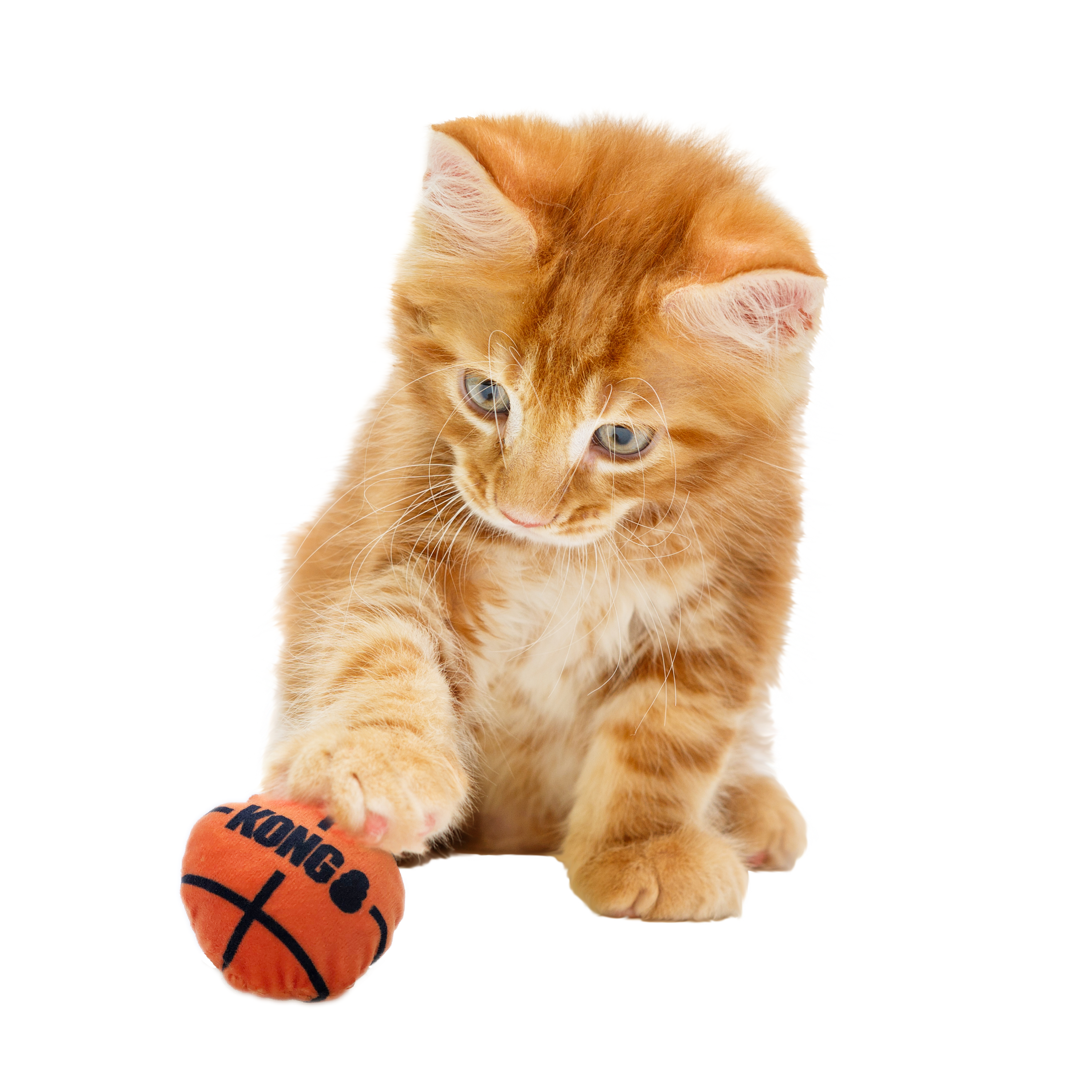 Cat Sport Balls 2-pk Assorted lifestyle product image