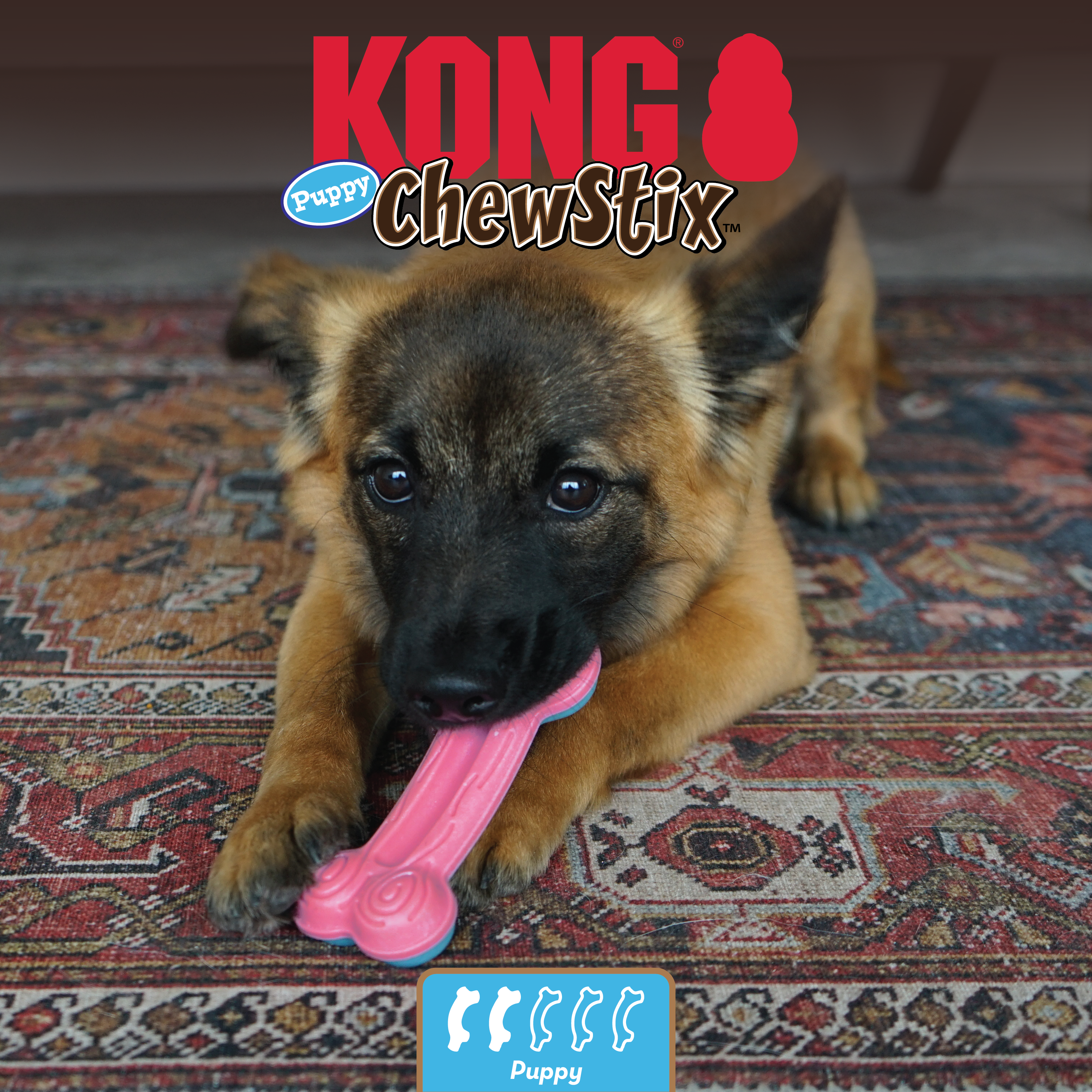 ChewStix Puppy Curve Bone pædagogisk1 produktbillede