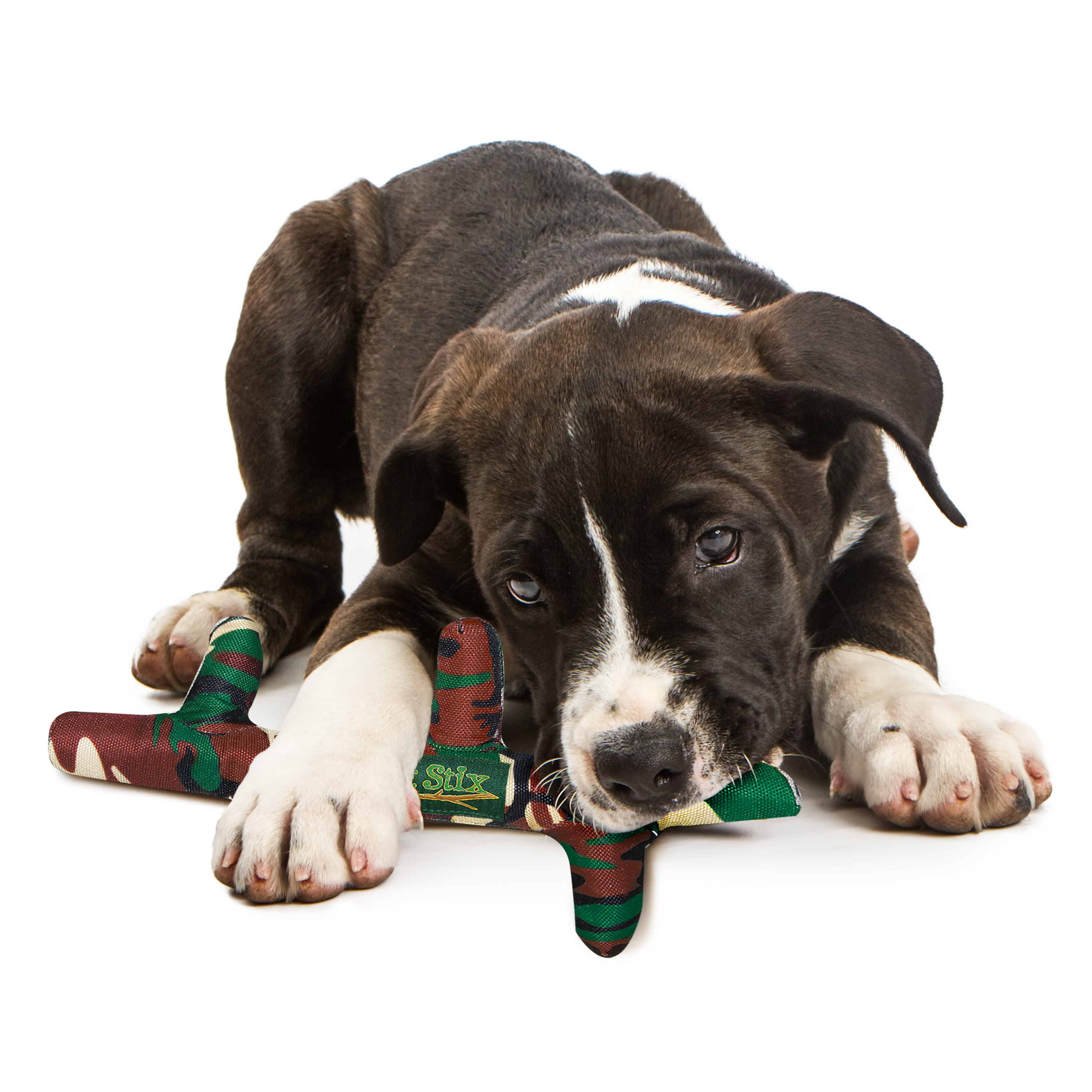 PetStix, Assorted Colors lifestyle product image
