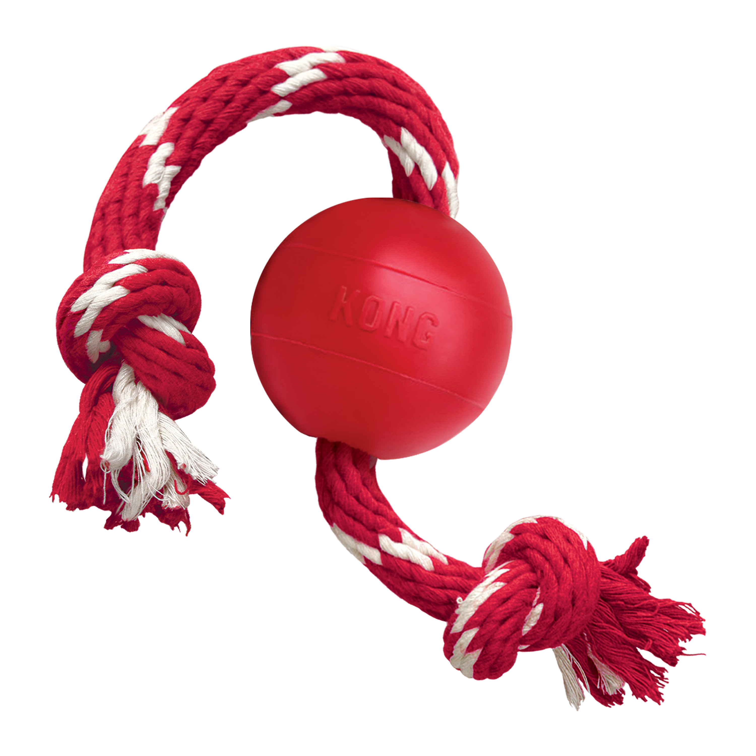 Kong ball for clearance puppies