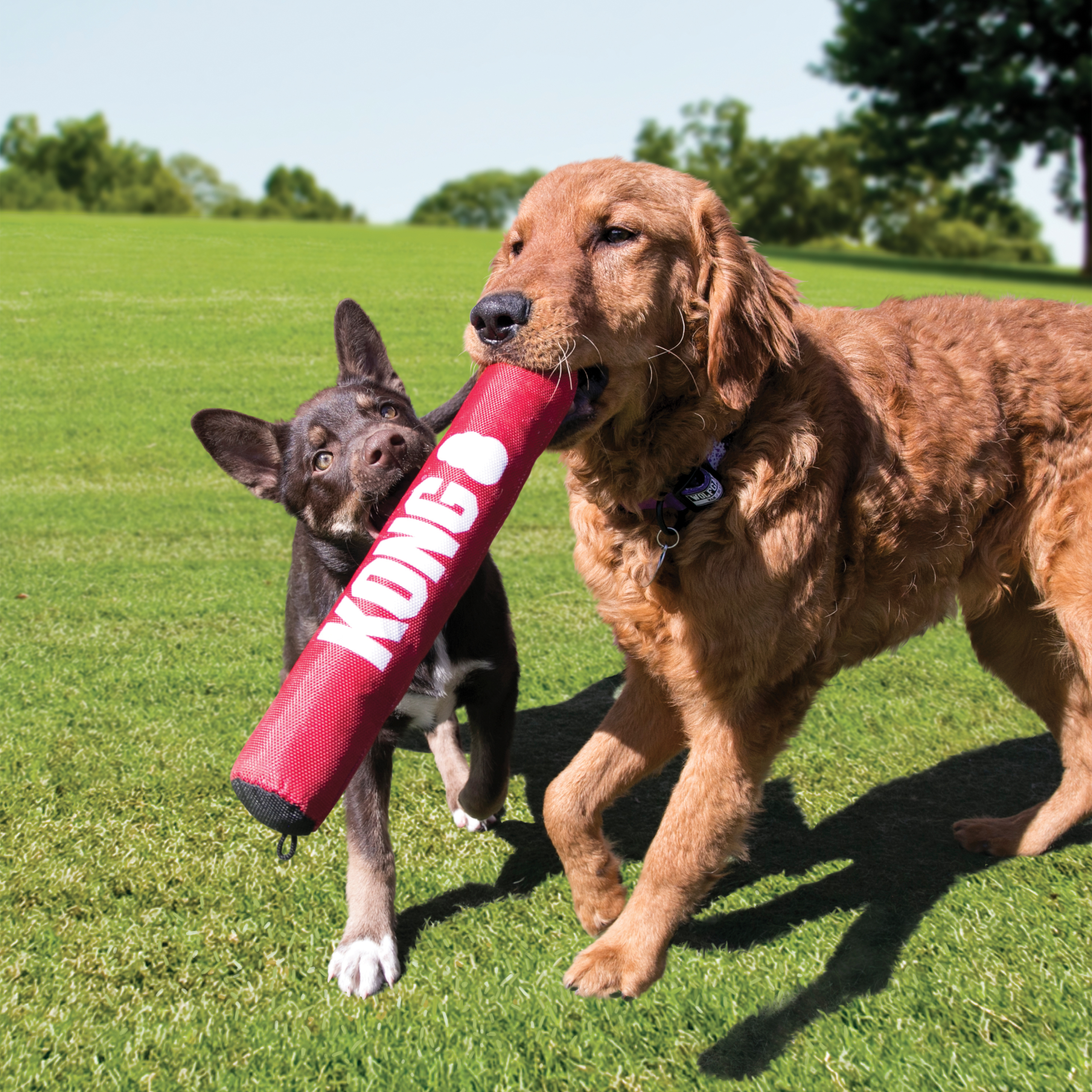 Dog toy that looks like best sale a stick