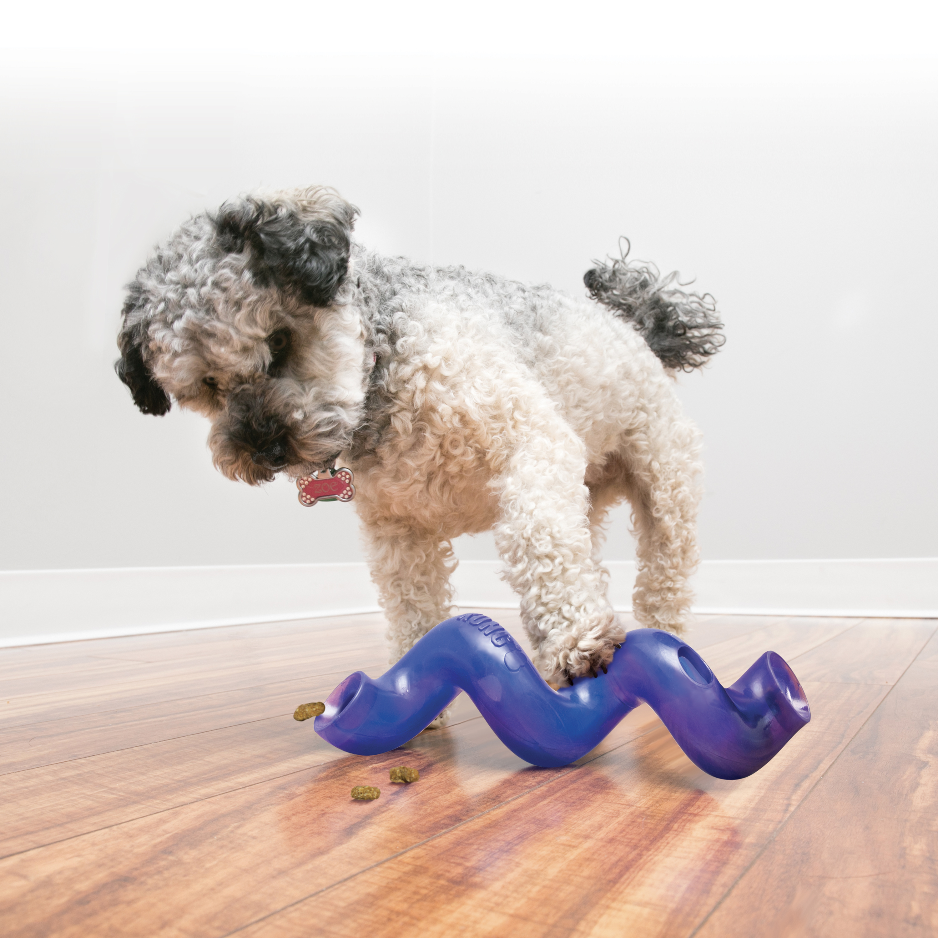 KONG Flipz Treat Dispensing Dog Toy Small only $13.84