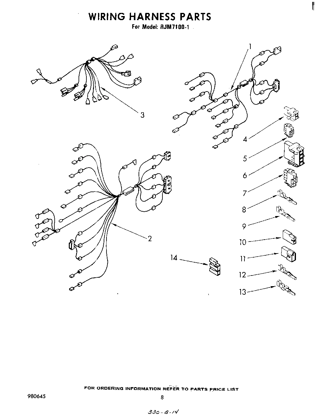 06 - WIRING HARNESS