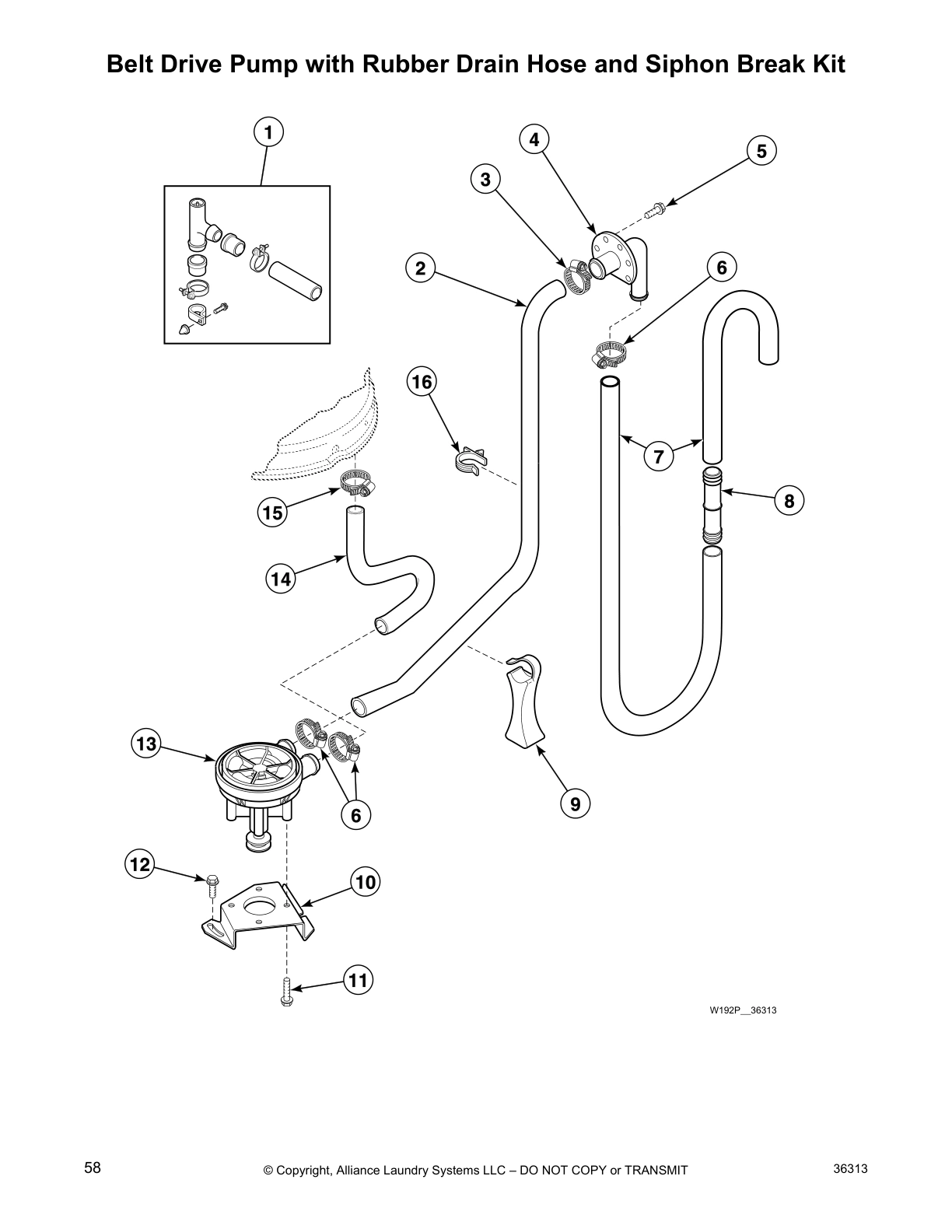 Belt Drive Pump with Rubber Drain Hose and Siphon Break Kit