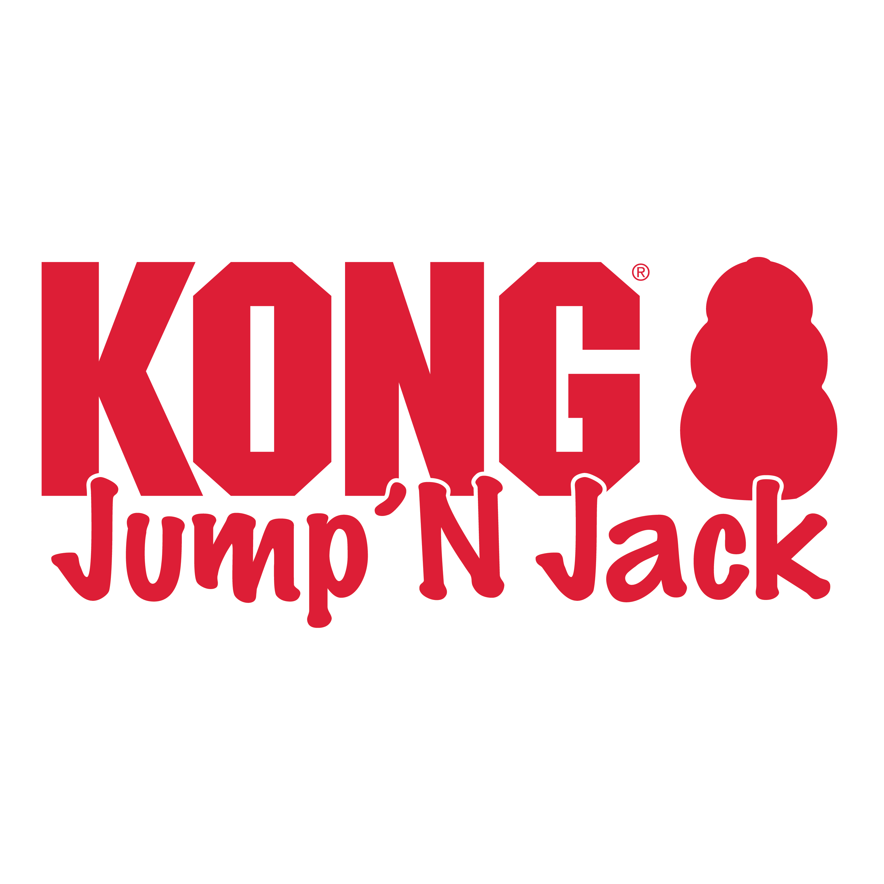 KONG Jump'N Jack alt1 termékkép