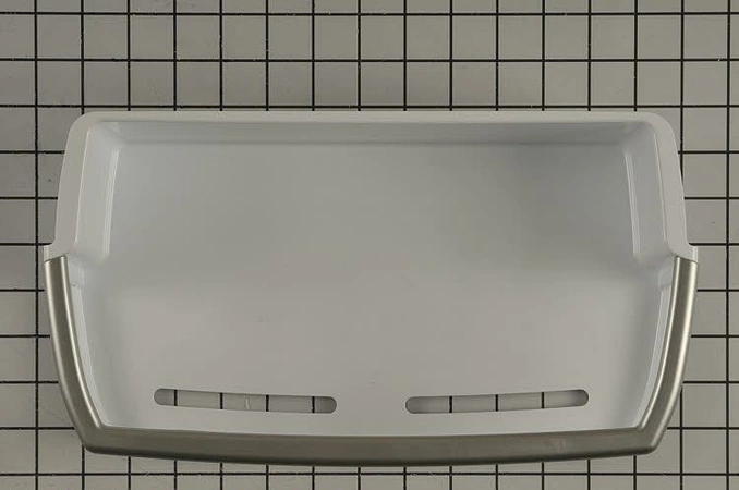 AAP72909205
