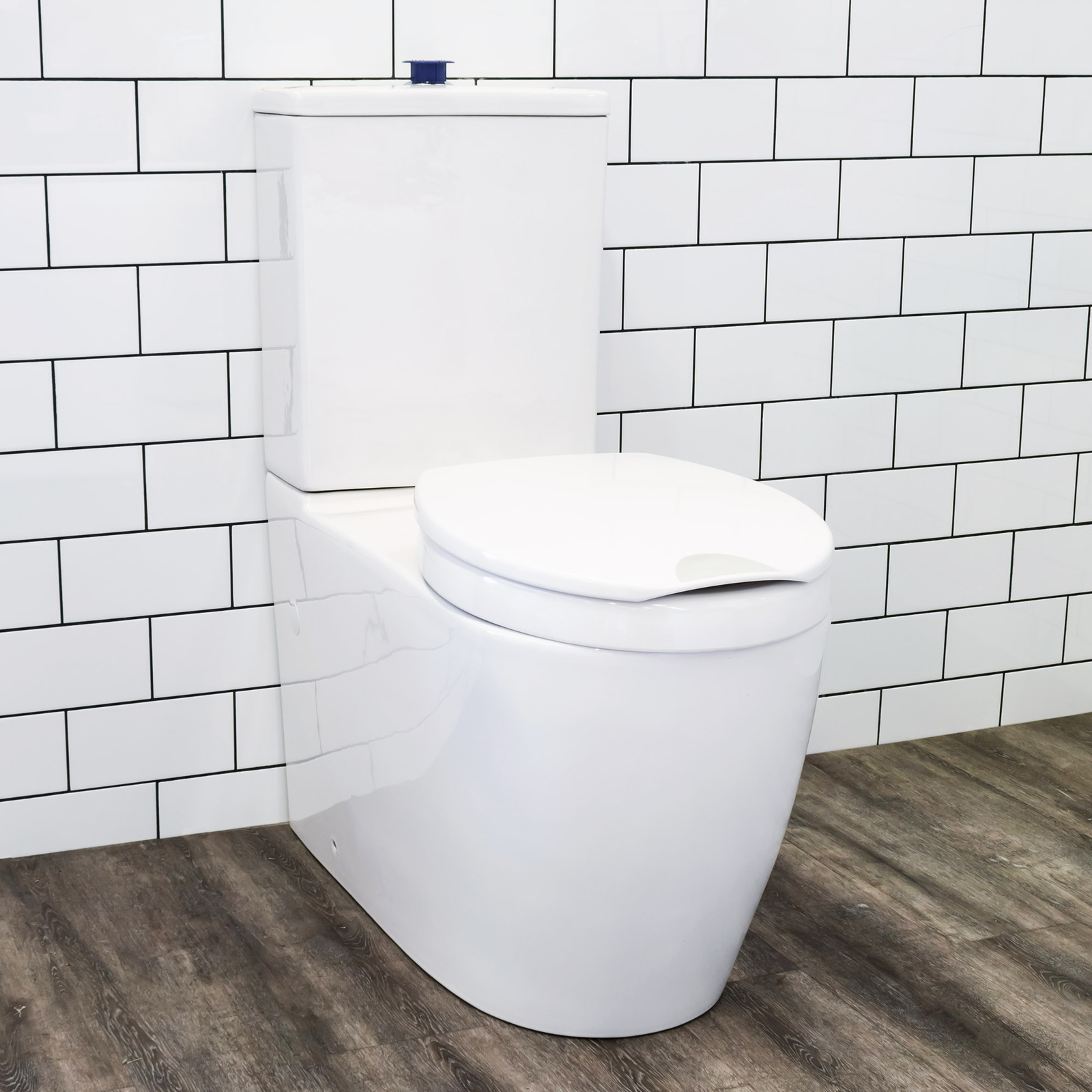 elevated bidet toilet seat