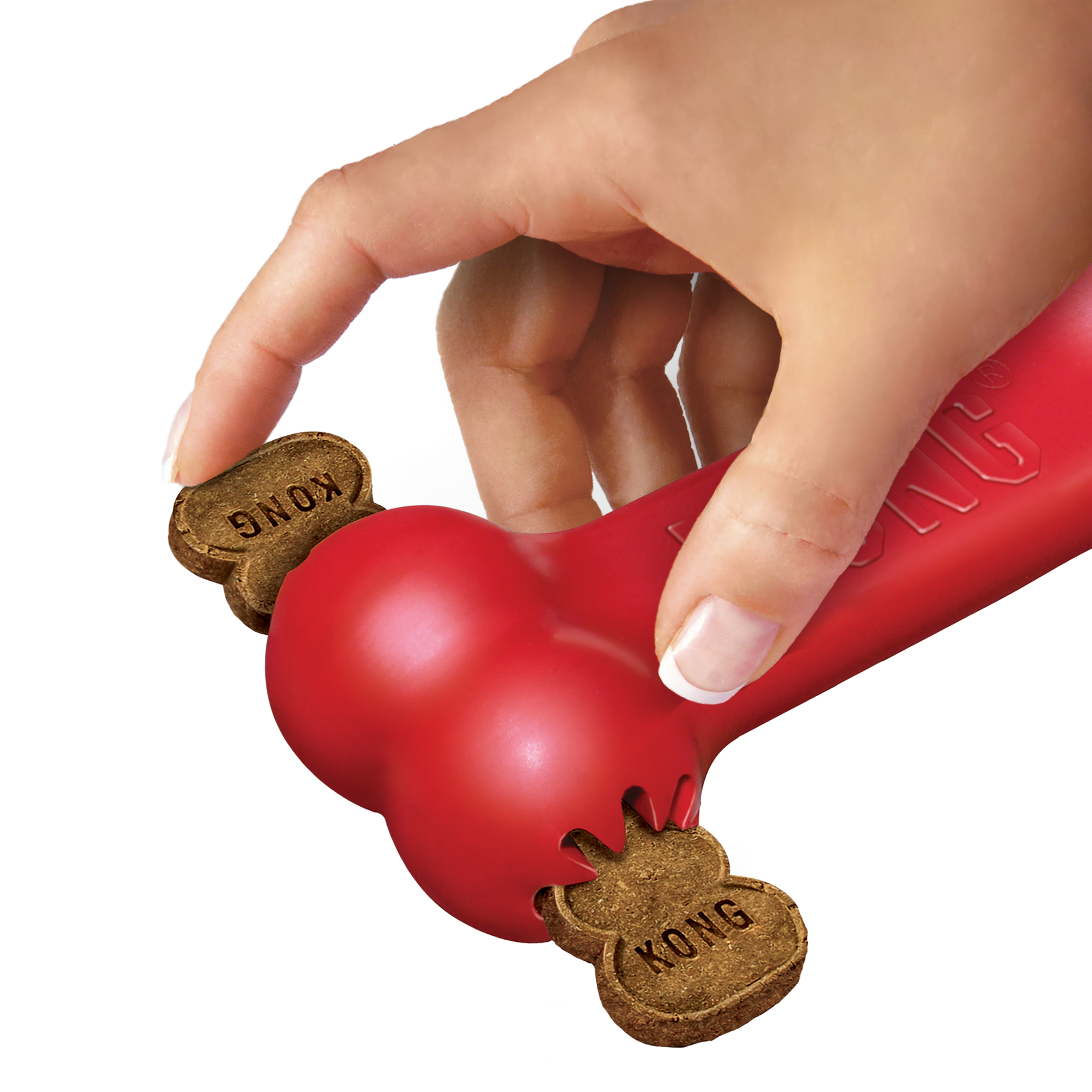 KONG Goodie Bone educational1 product image