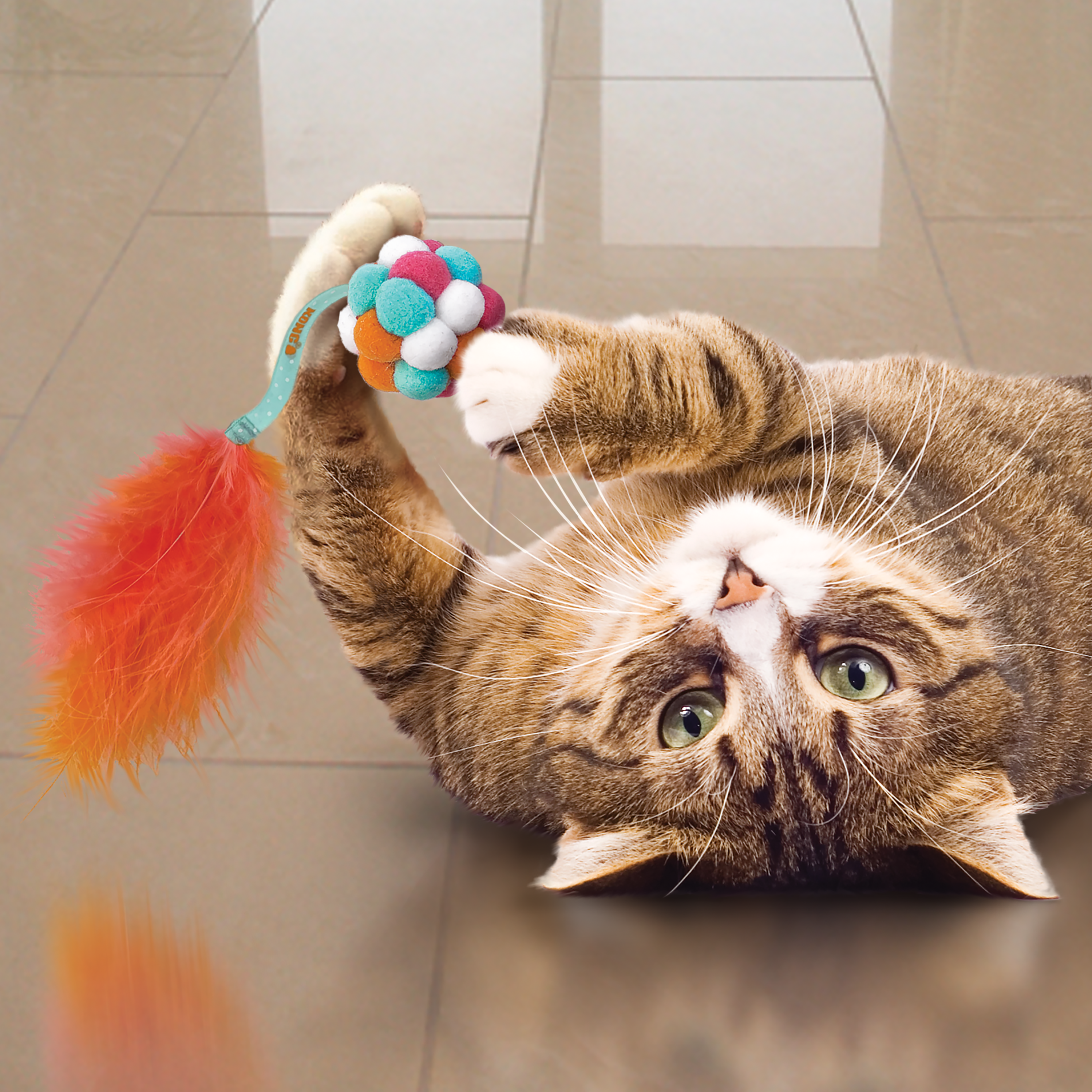 Cat Active Bubble Ball lifestyle product image