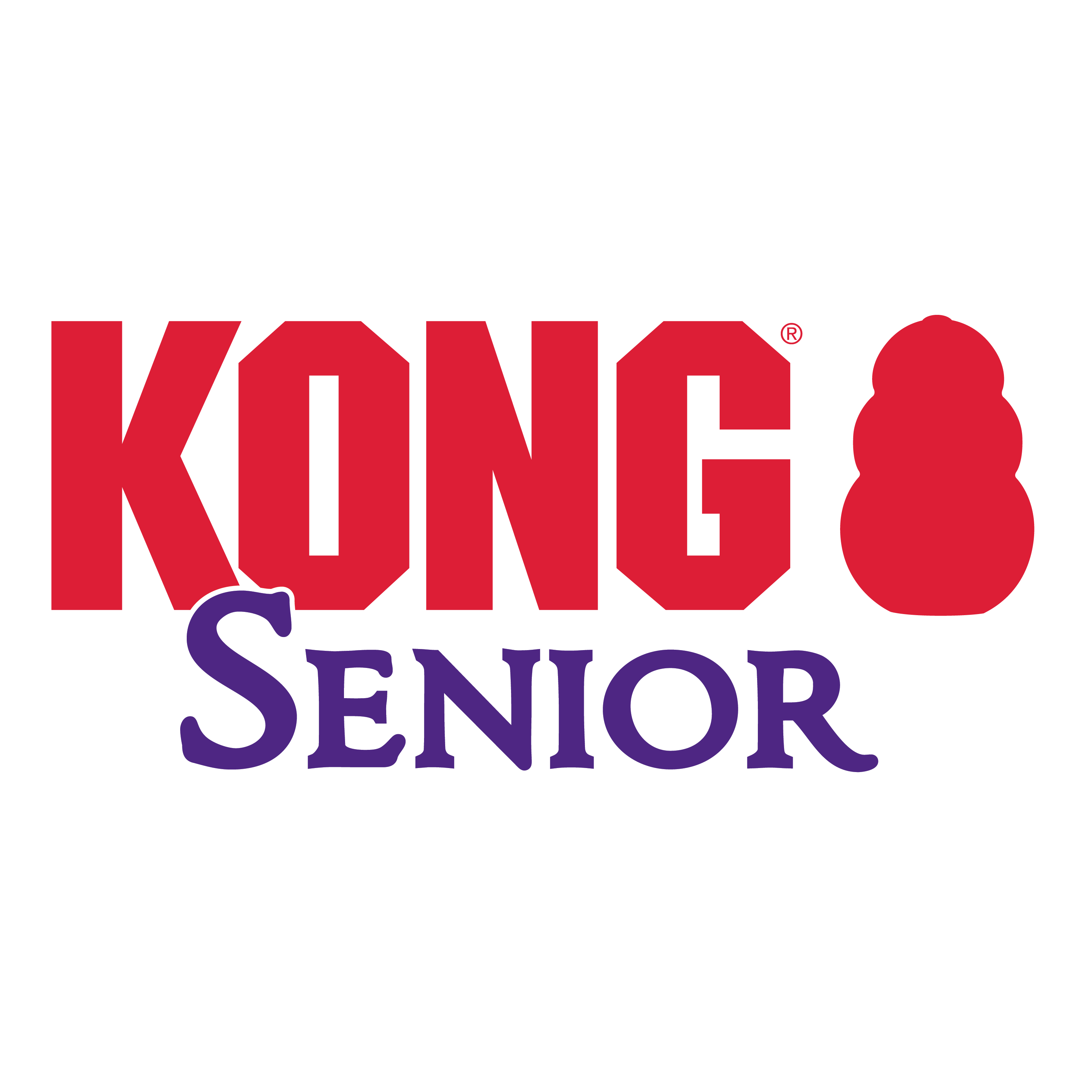 KONG Senior alt1 termékkép