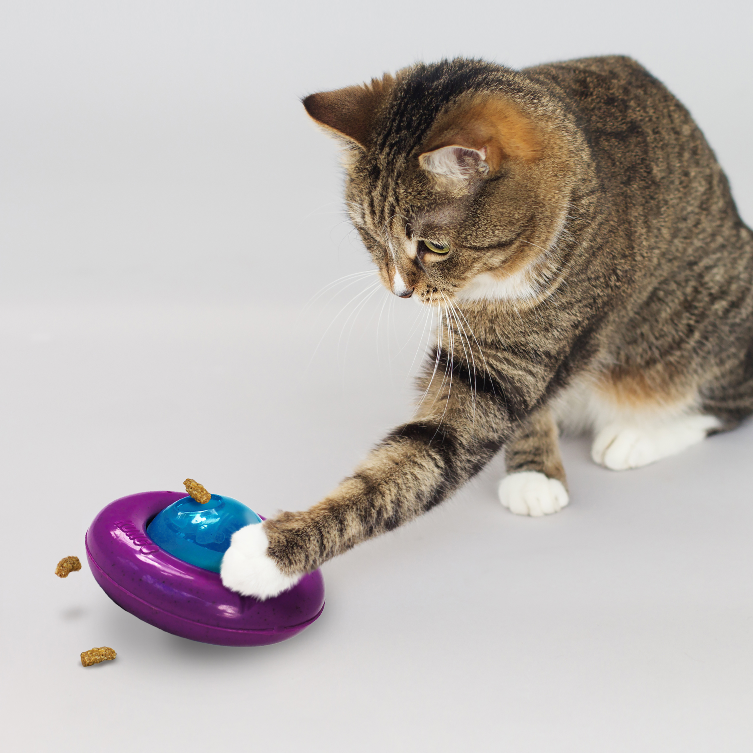 Kong cat outlet treat ball