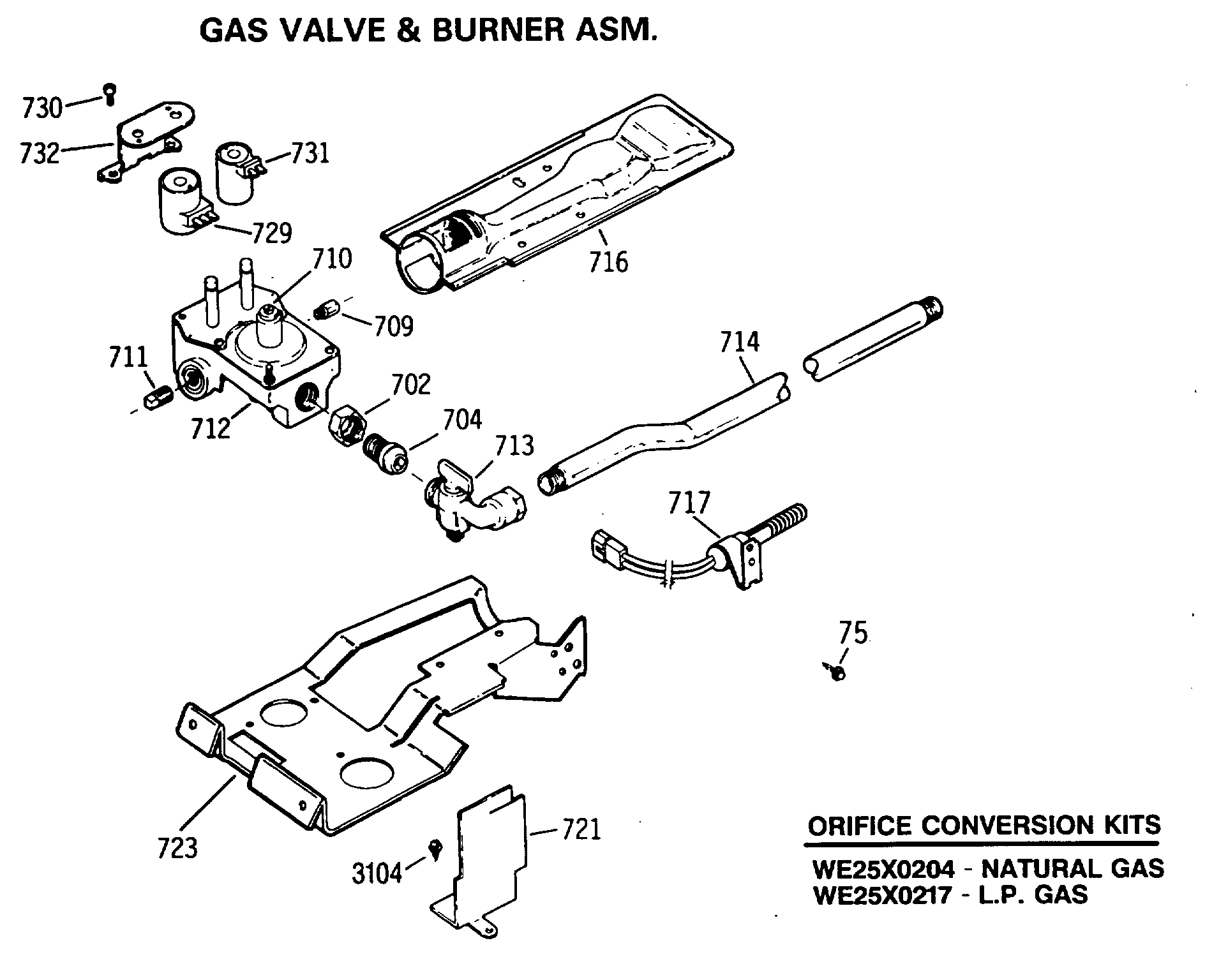 GAS VALVE & BURNER ASSEMBLY