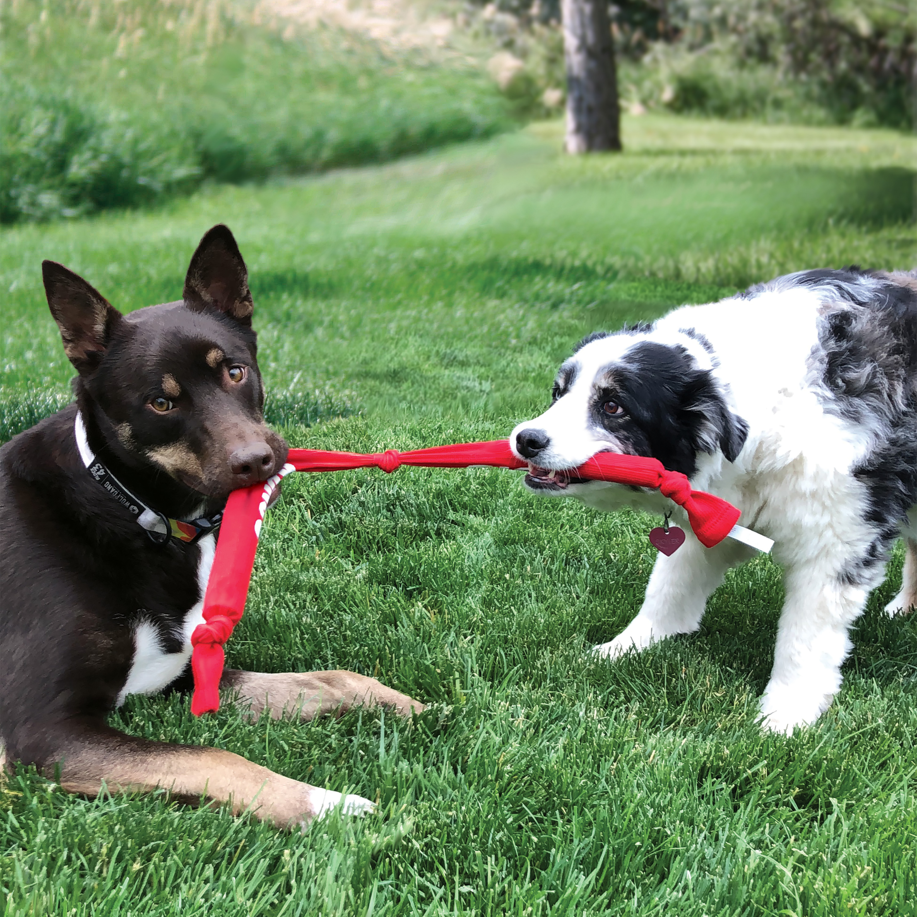 Signature Crunch Rope Triple lifestyle product image