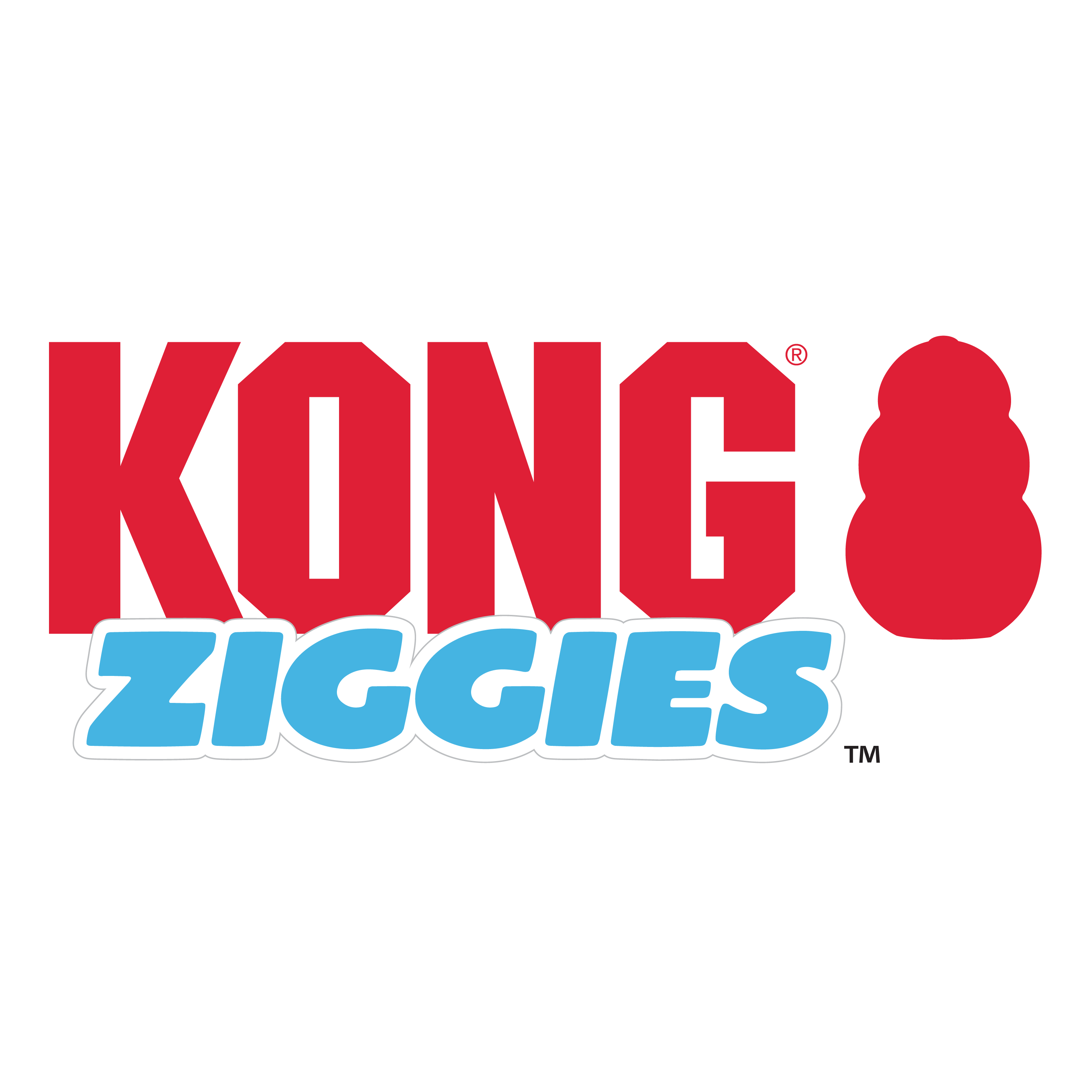 Kong ziggies clearance small