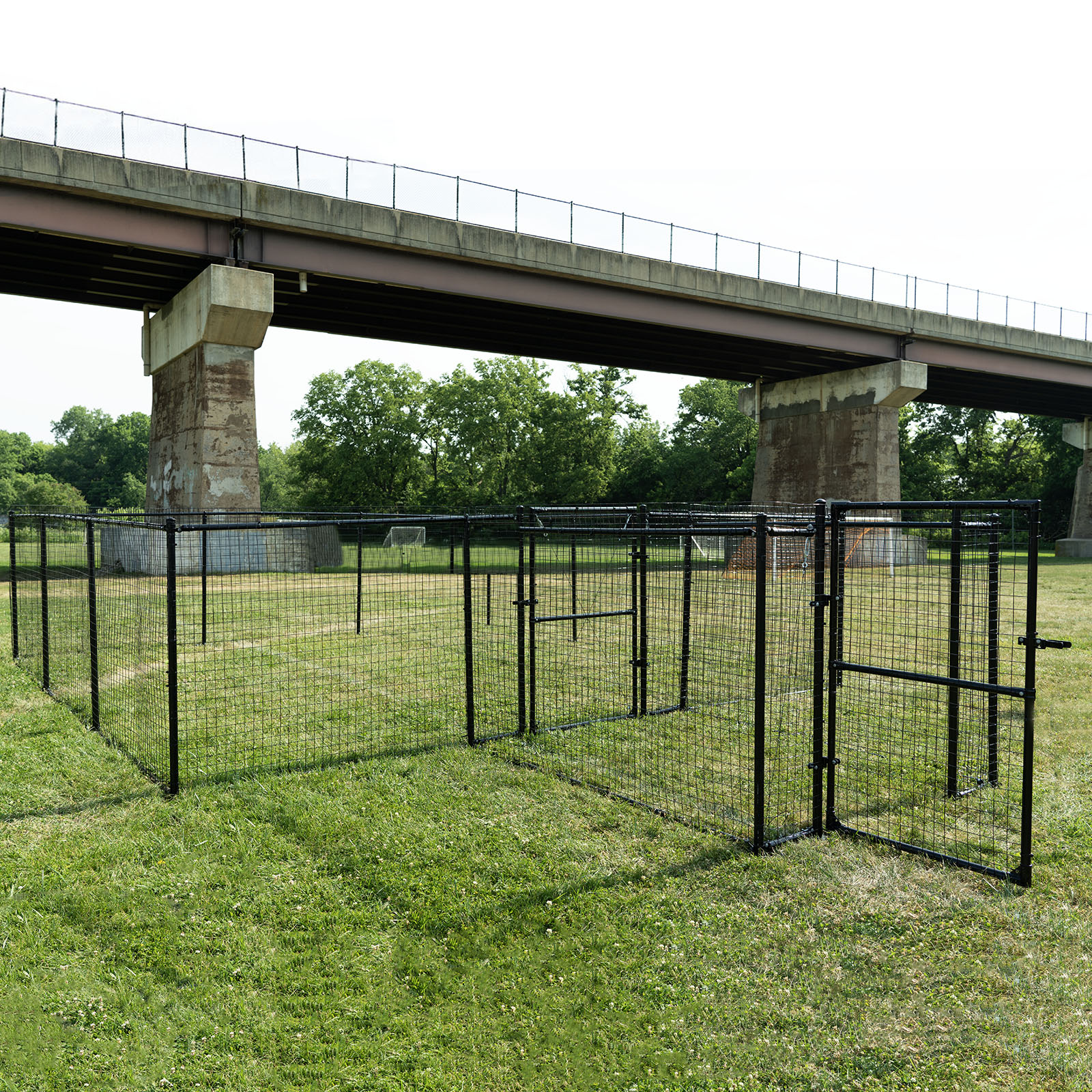 Dog park set up under an overpass.
