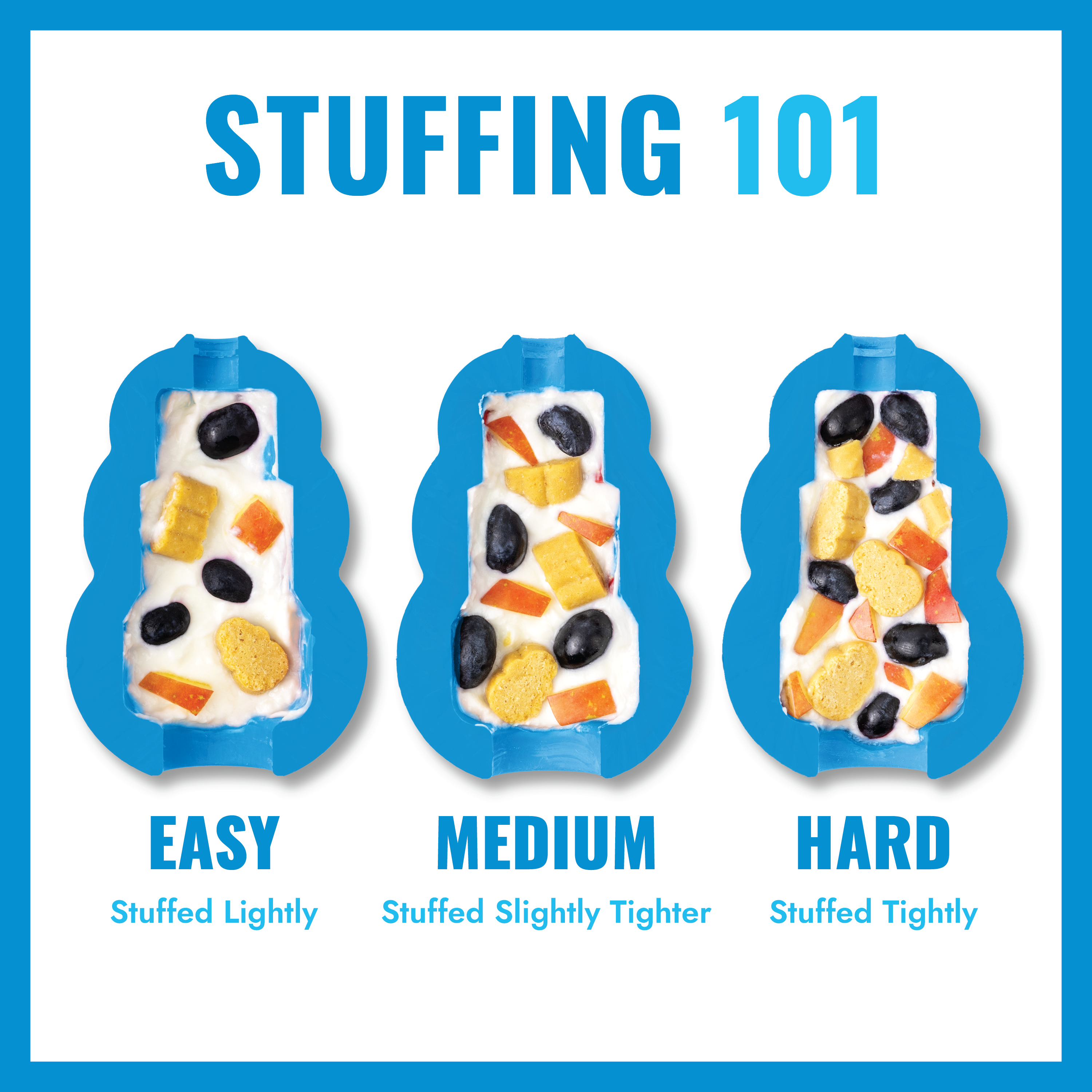 KONG Puppy educational3 product image