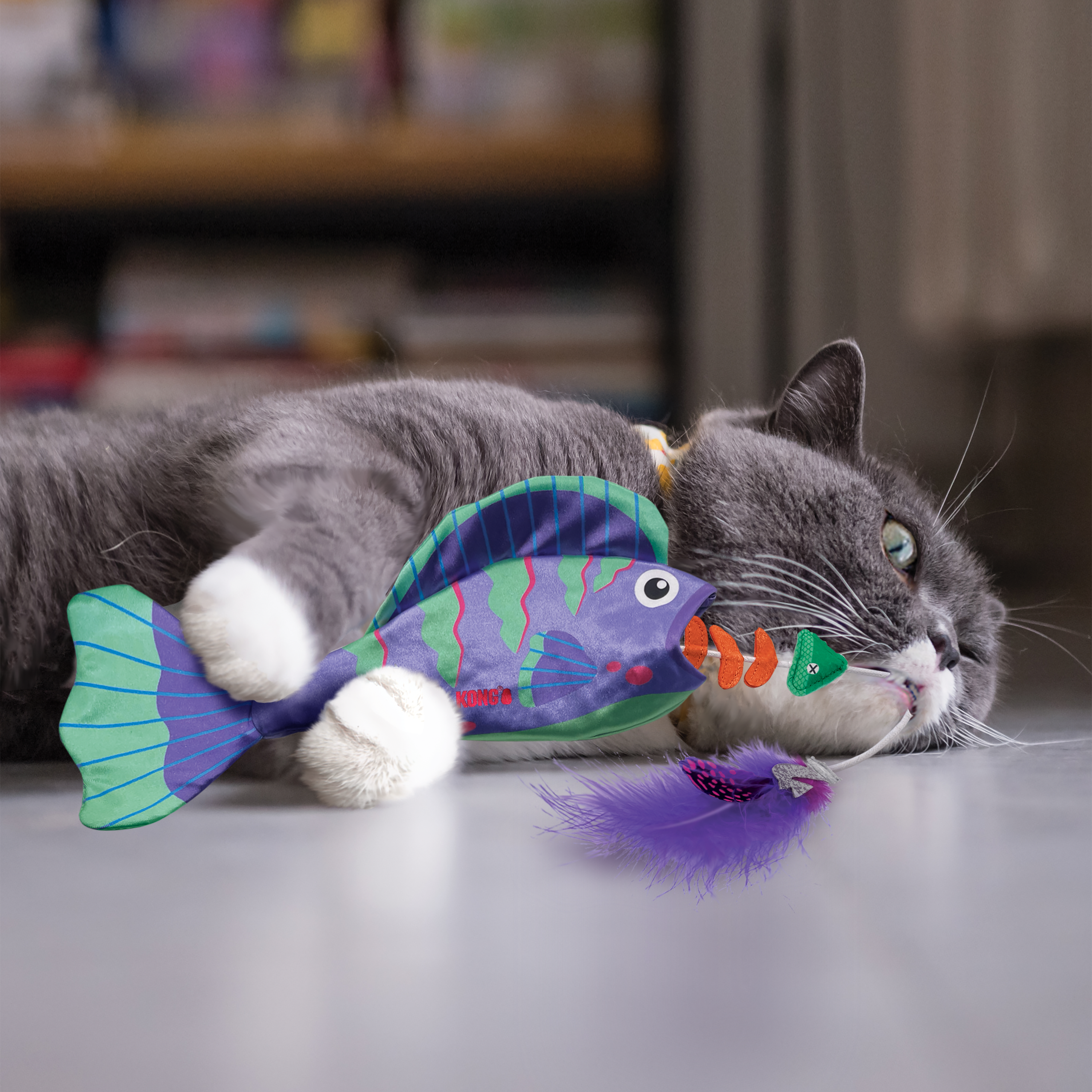 Premium Photo  A small gray kitten plays with toy on a fishing