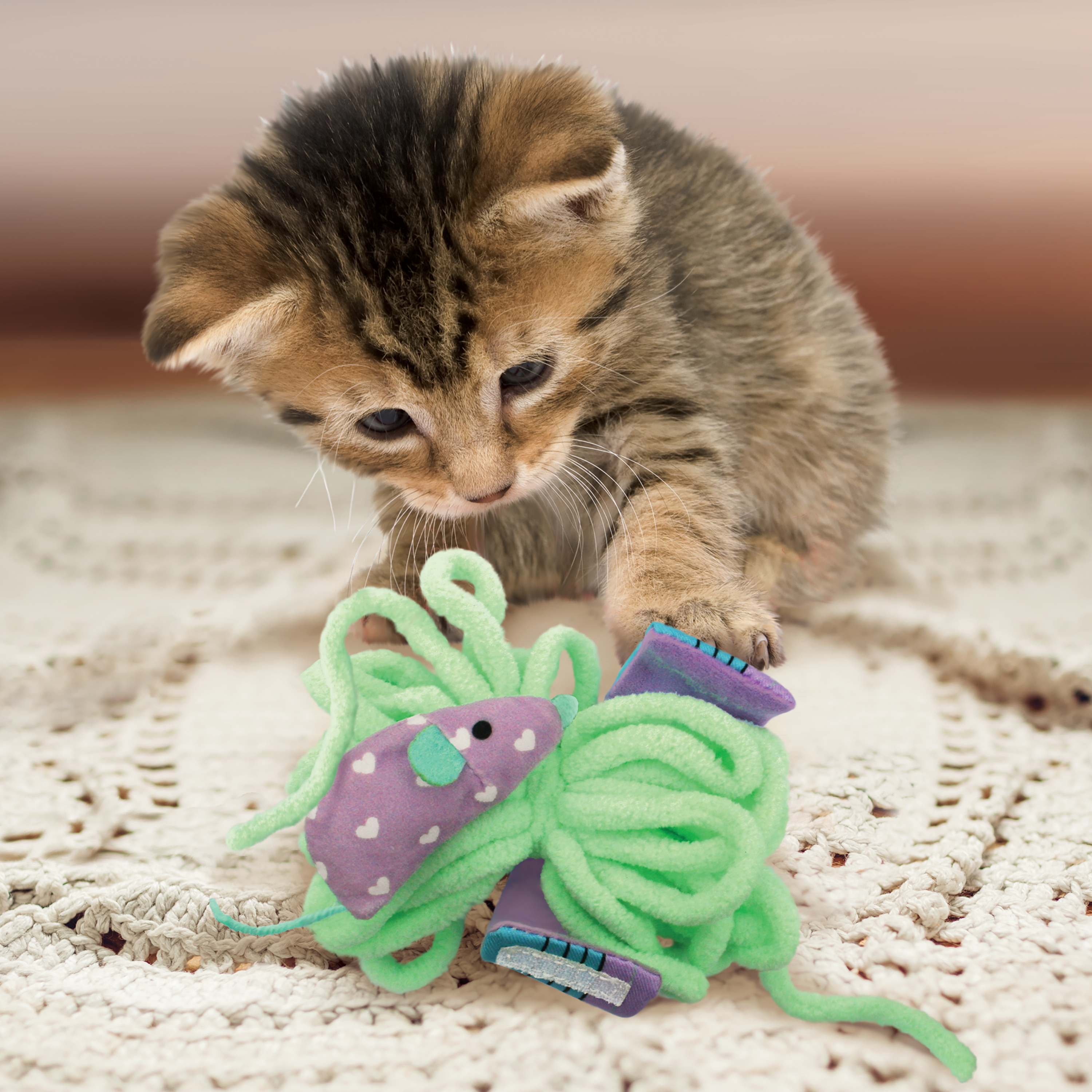 Cat toy outlet companies