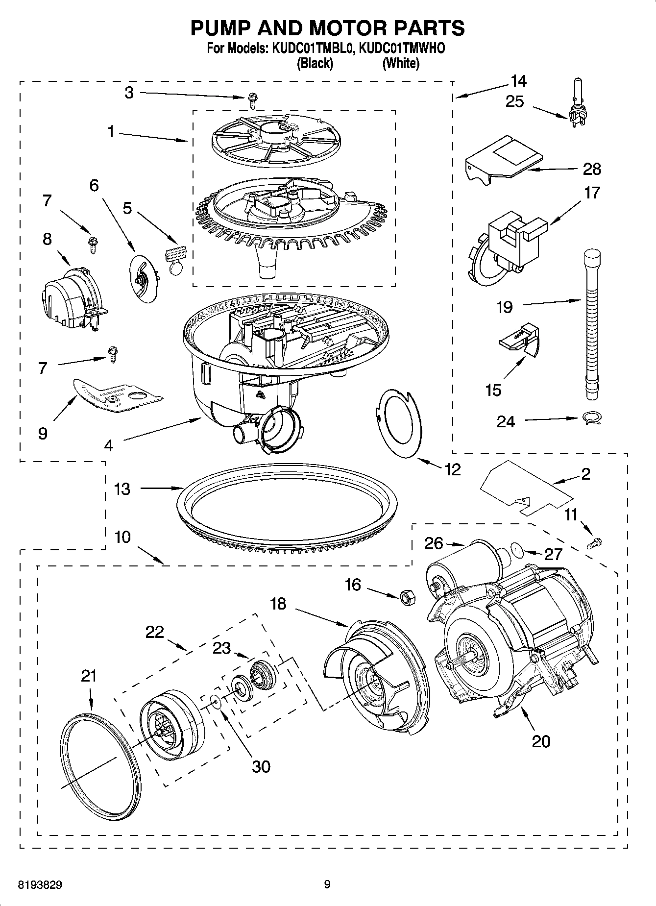 08 - PUMP AND MOTOR PARTS