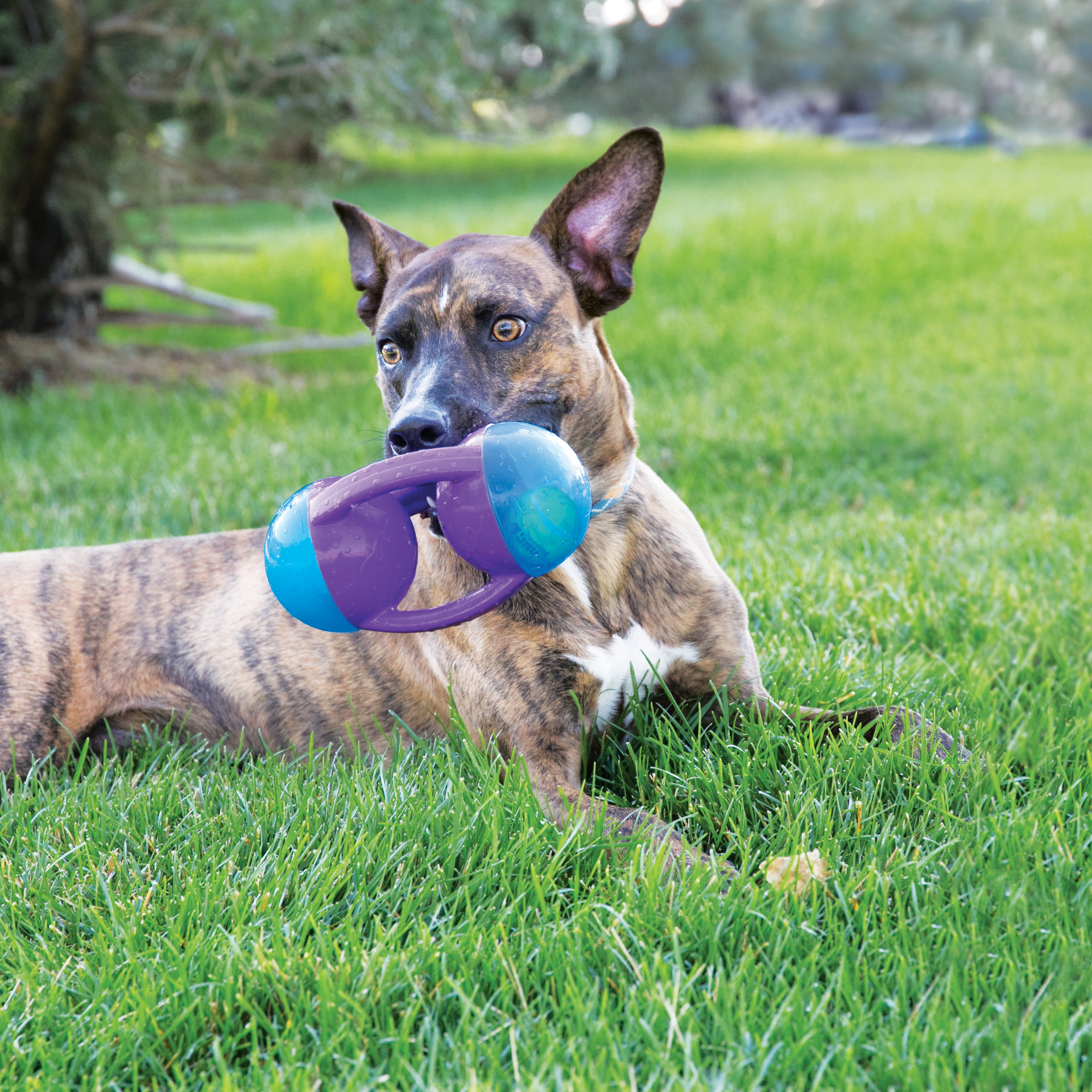 Green Flyer Football Rope Dog Toy