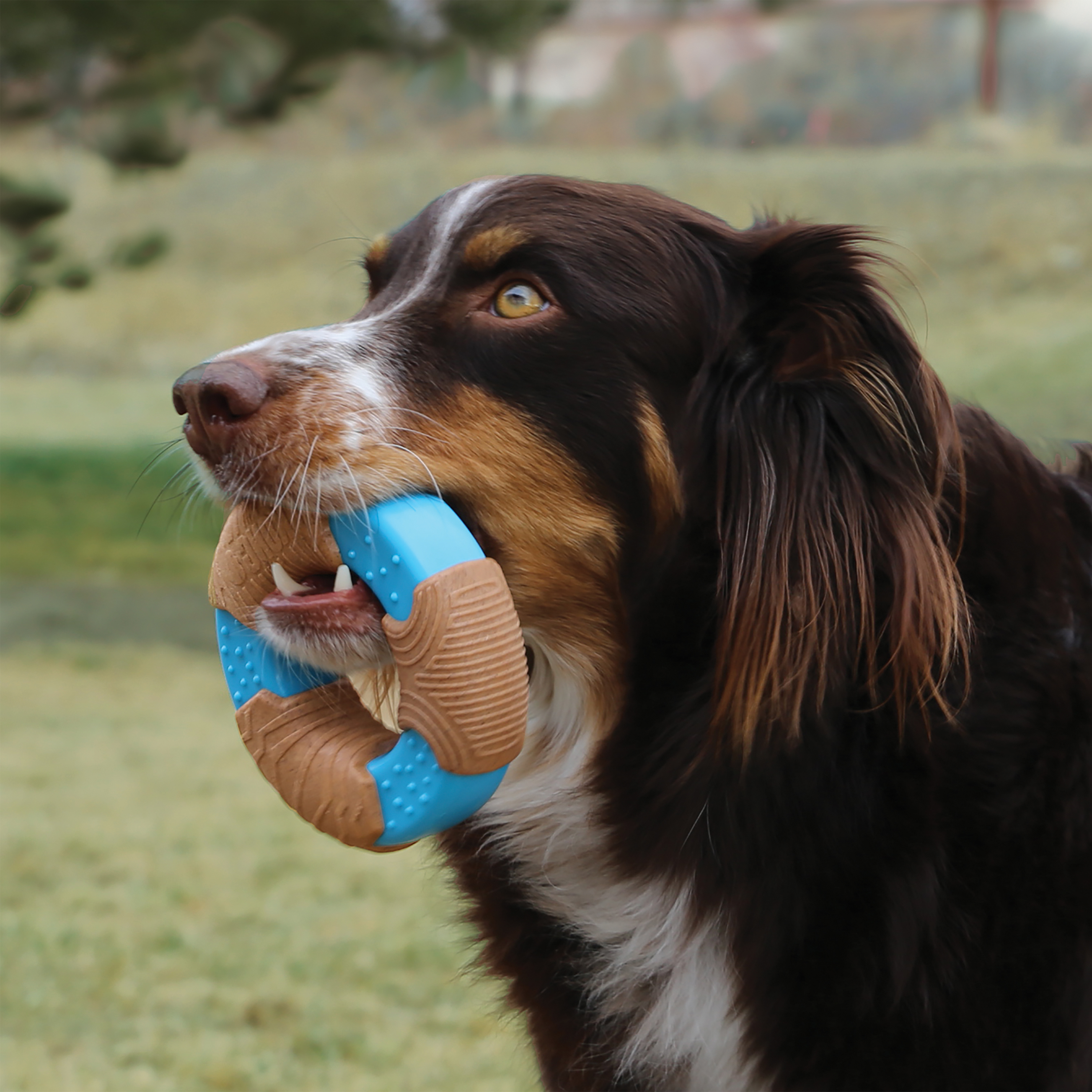 KONG CoreStrength™ Bamboo Bone KONG CoreStrength™ Bamboo Bone