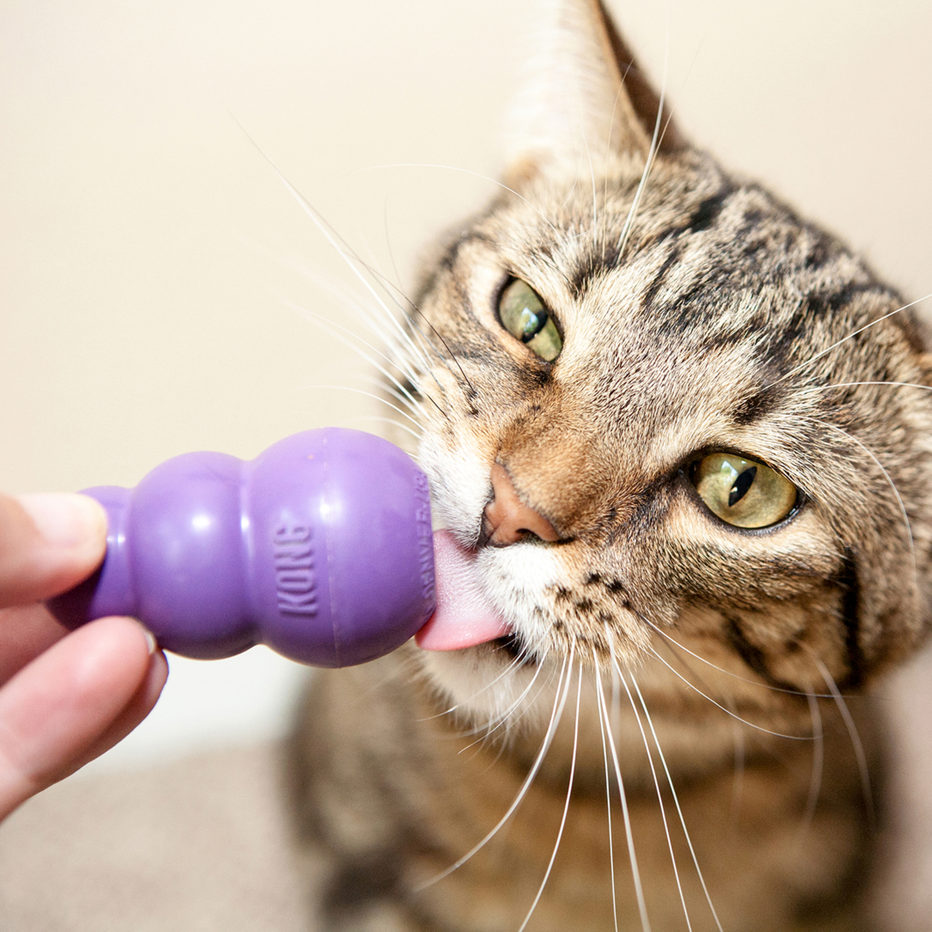 Kong Infused Gyro Cat Toy