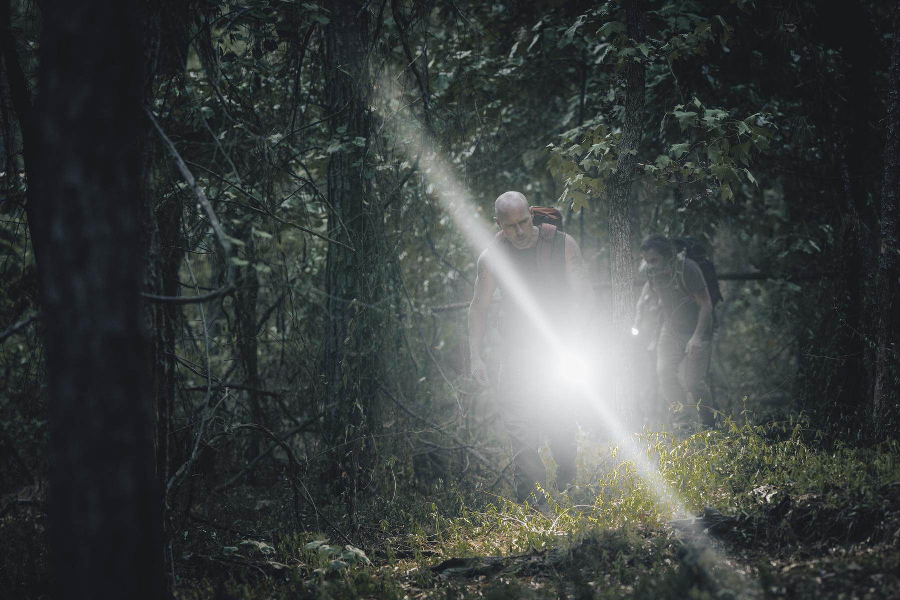 Davinci 18000 חוגה