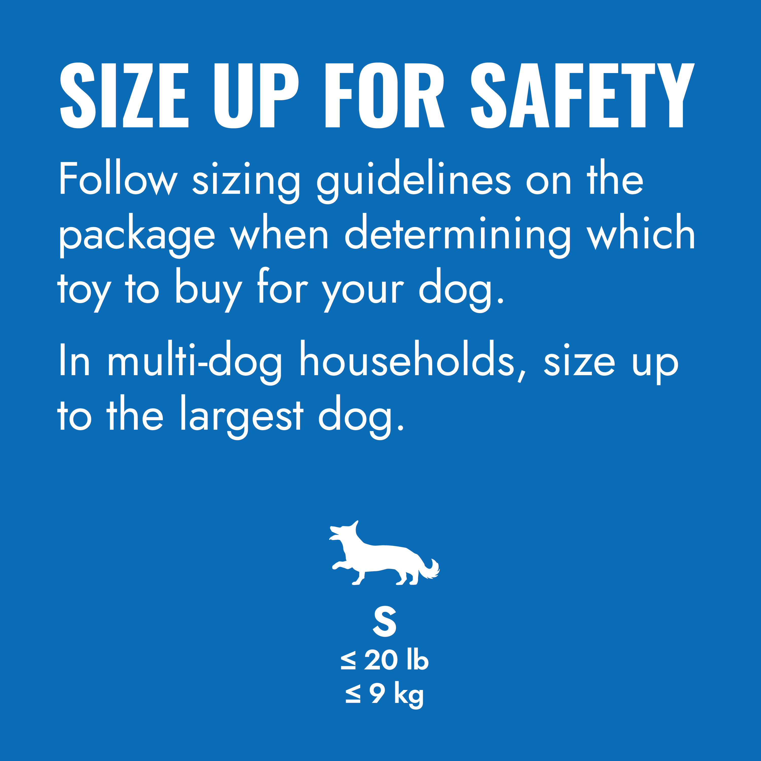 KONG Puppy Goodie Bone educational1 product image