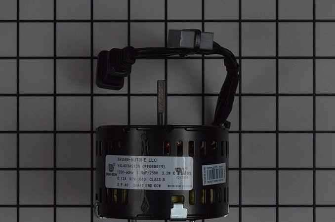 S99080519