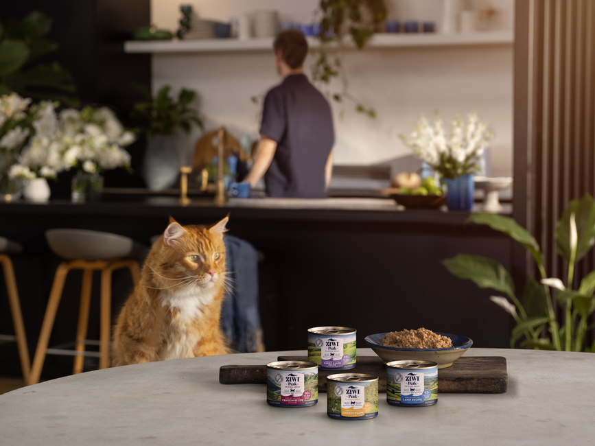 ZIWI Canned-wet 經典主食罐產品