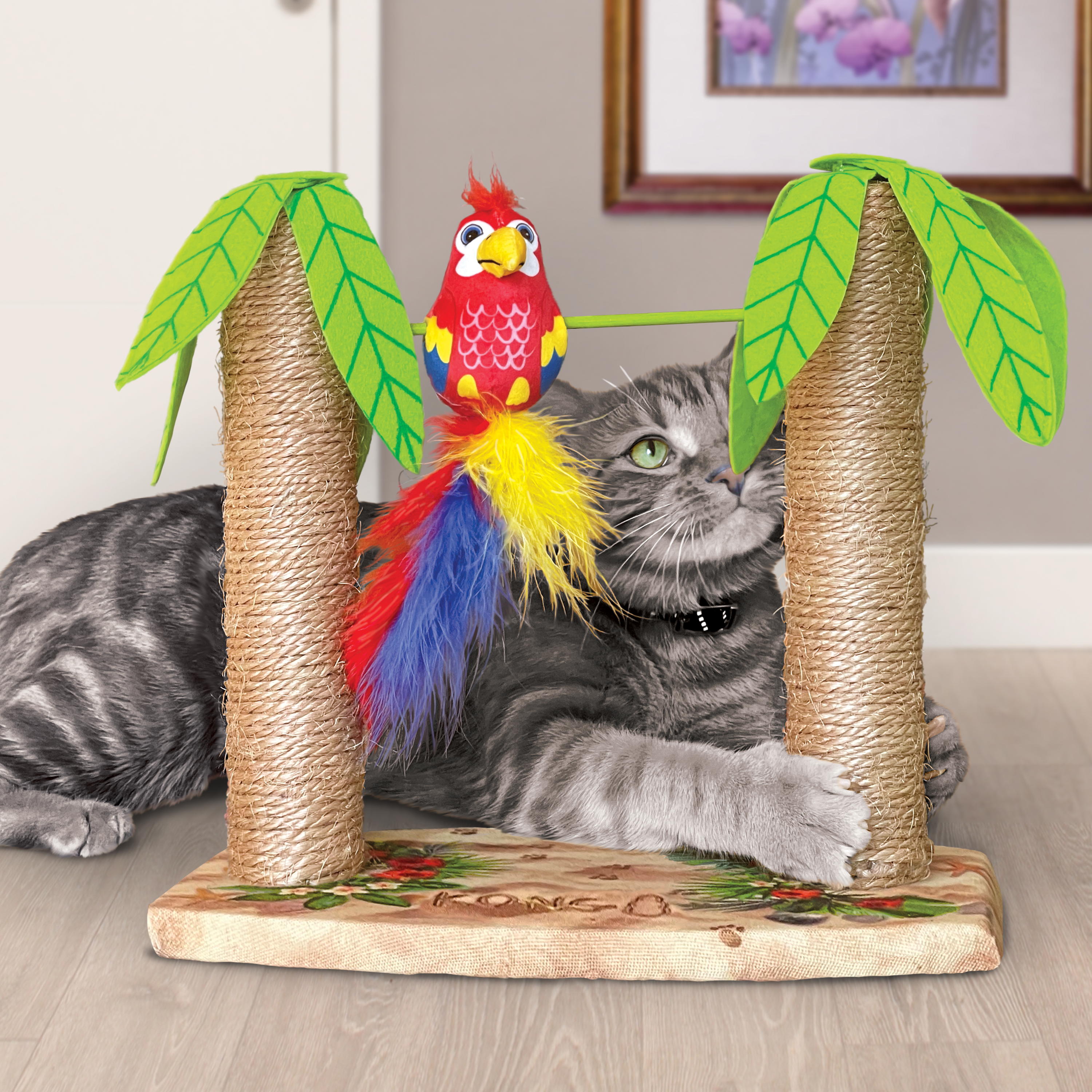 Kong best sale cat scratcher