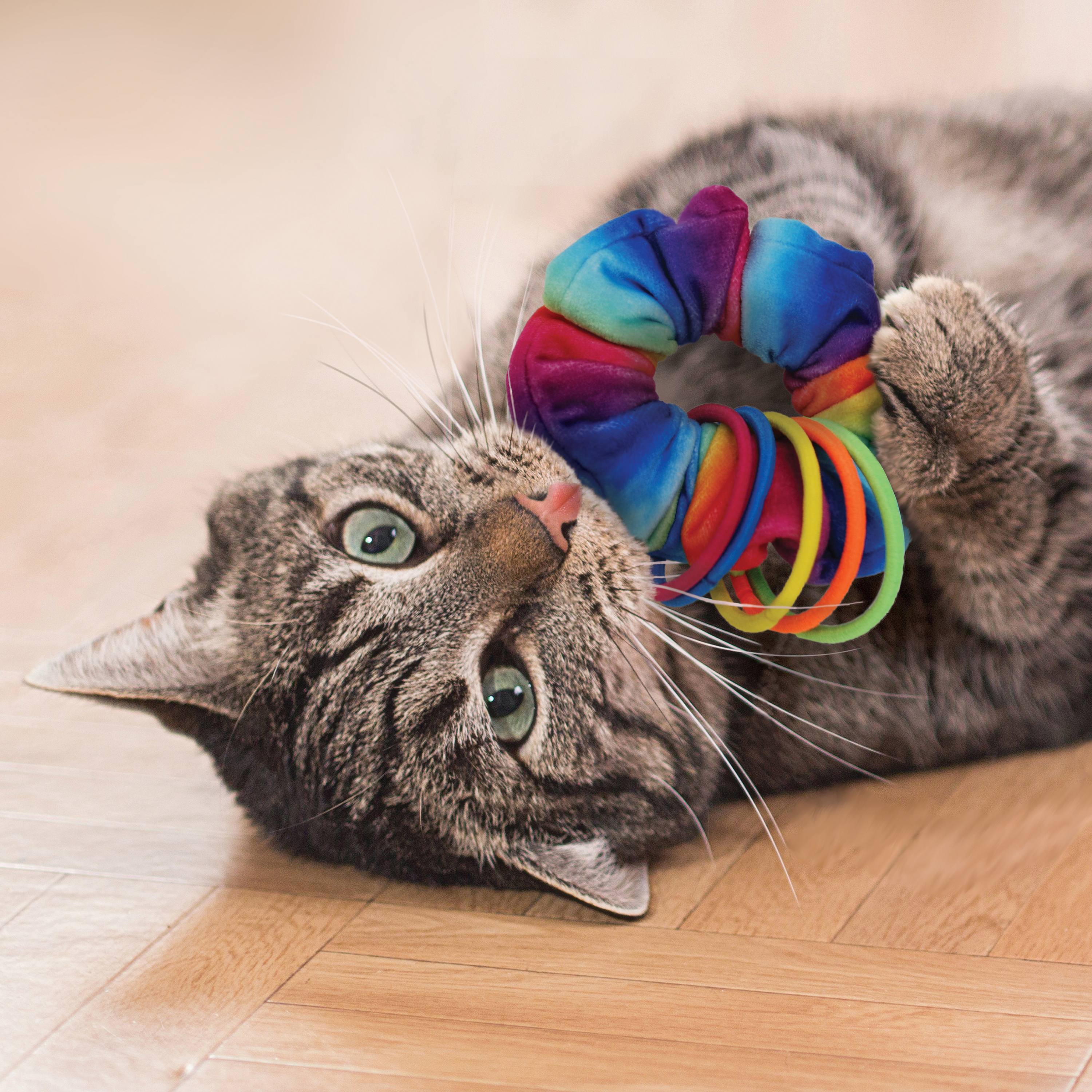 Kong Active Scrunchie Cat Toy