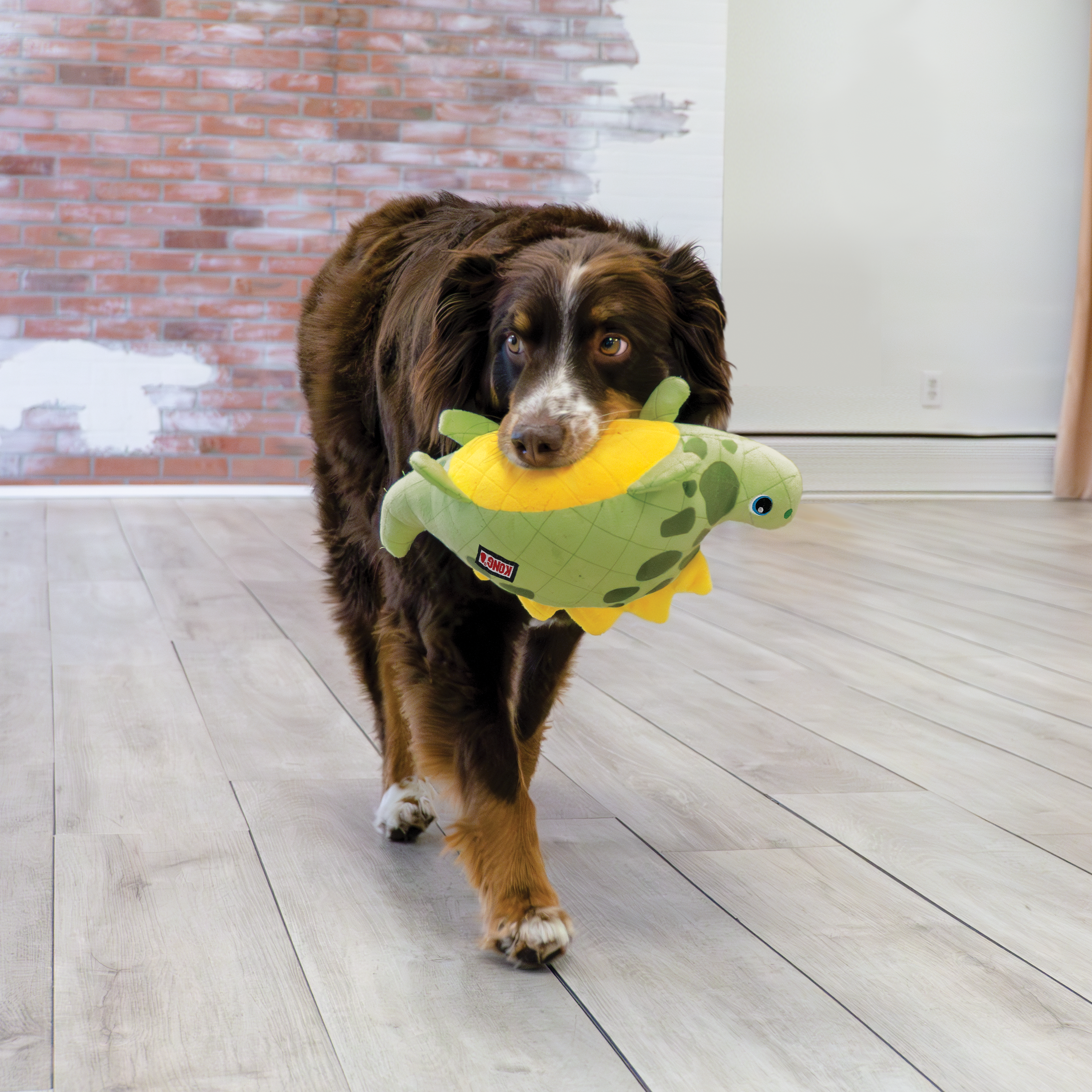 Green kong dog sales toy